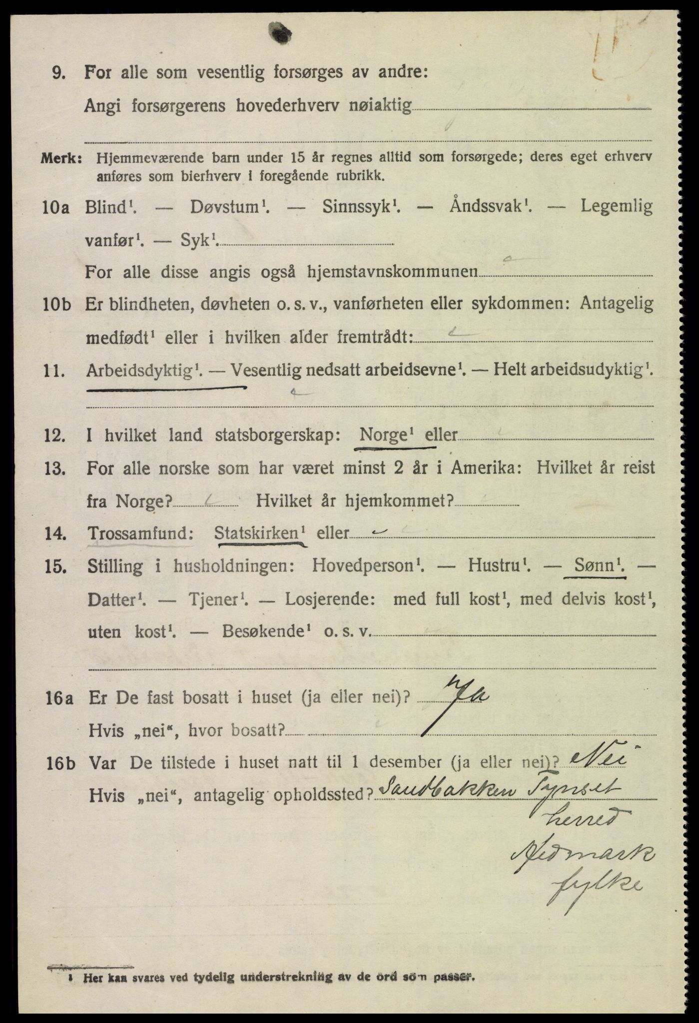 SAH, 1920 census for Folldal, 1920, p. 1036