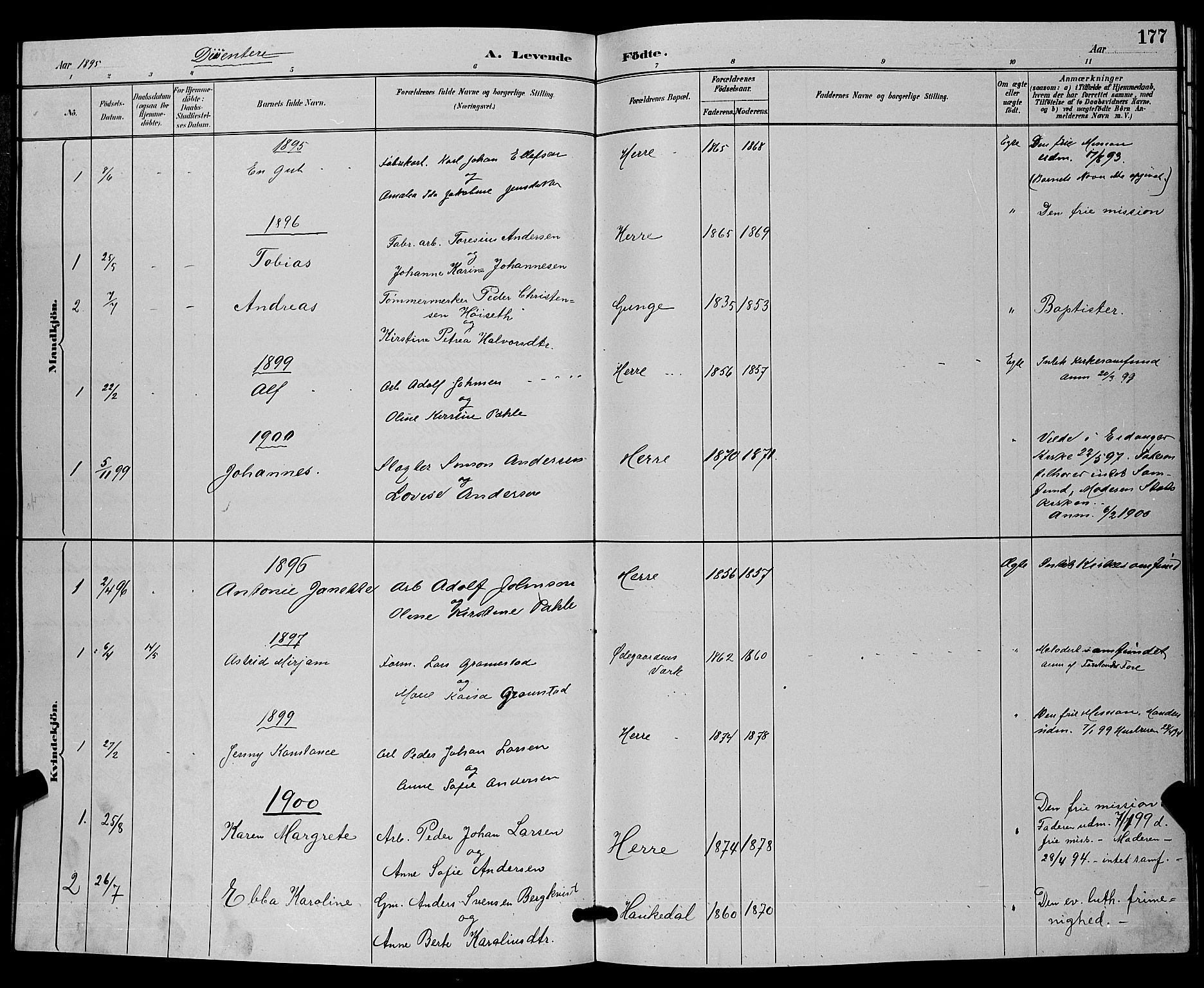 Bamble kirkebøker, SAKO/A-253/G/Ga/L0009: Parish register (copy) no. I 9, 1888-1900, p. 177