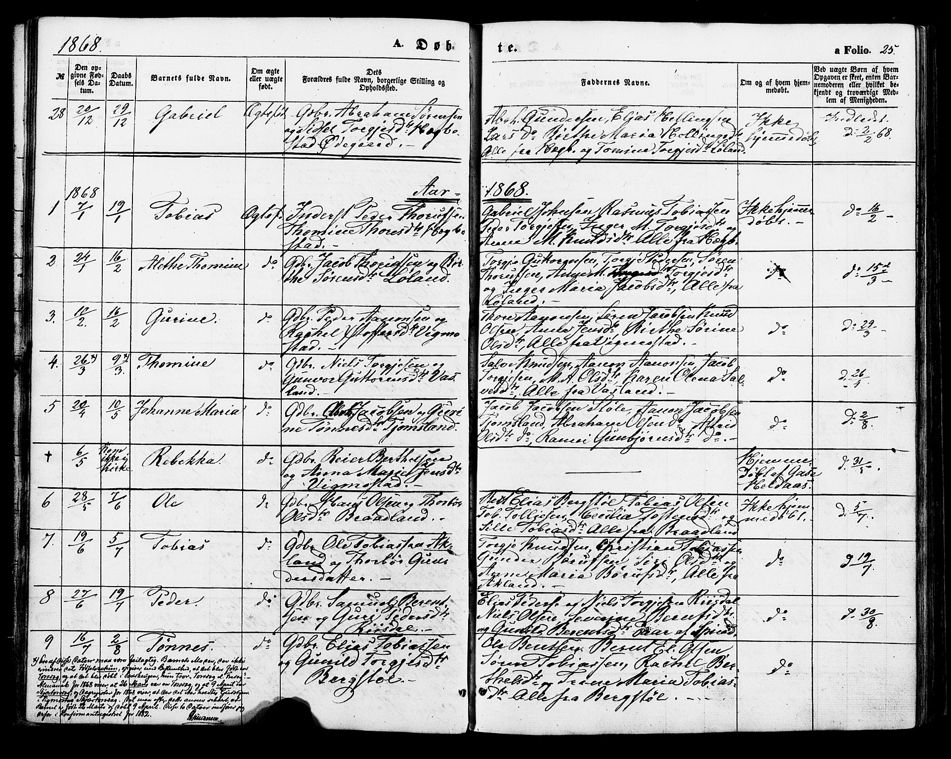 Nord-Audnedal sokneprestkontor, AV/SAK-1111-0032/F/Fa/Fab/L0002: Parish register (official) no. A 2, 1859-1882, p. 25