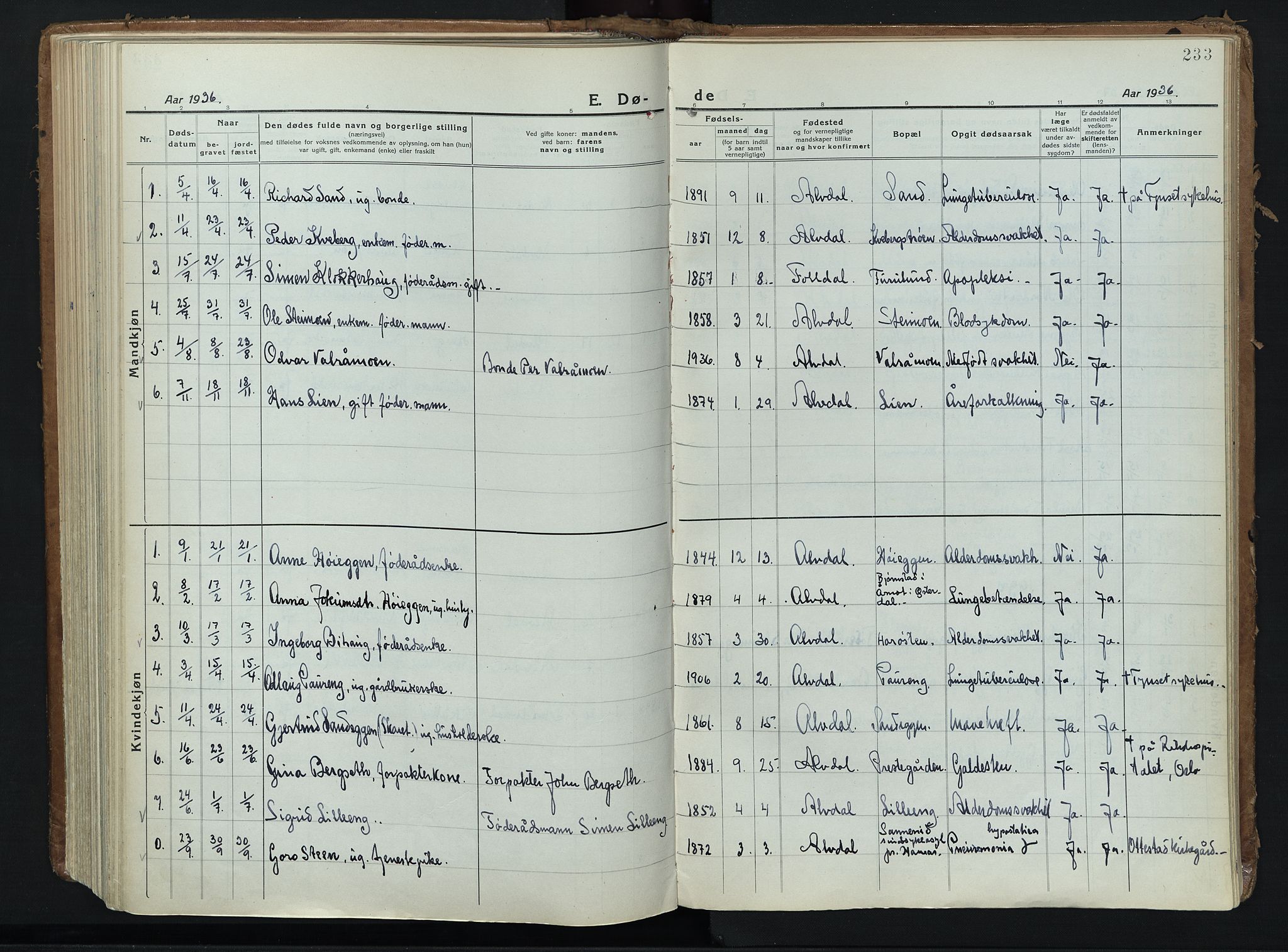 Alvdal prestekontor, AV/SAH-PREST-060/H/Ha/Haa/L0006: Parish register (official) no. 6, 1920-1937, p. 233