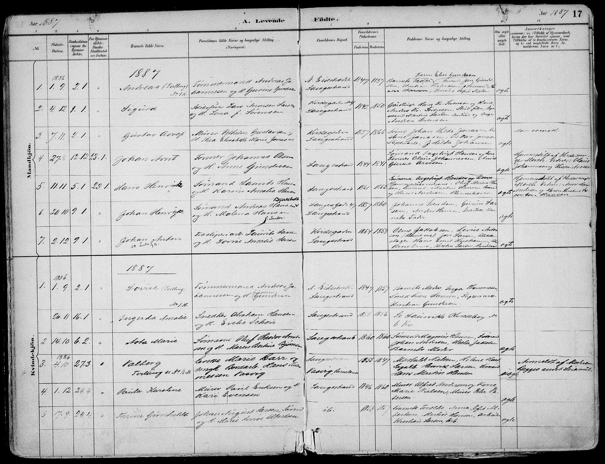 Larvik kirkebøker, AV/SAKO-A-352/F/Fb/L0004: Parish register (official) no. II 4, 1884-1902, p. 17