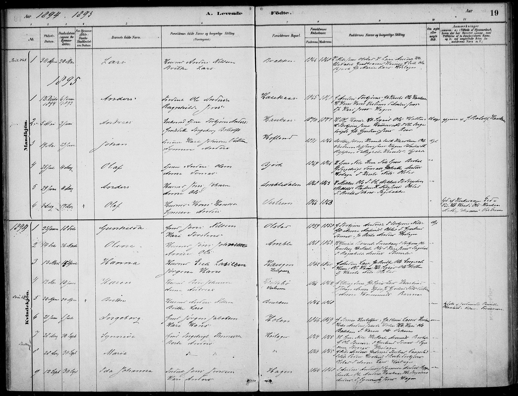 Sogndal sokneprestembete, SAB/A-81301/H/Haa/Haad/L0001: Parish register (official) no. D  1, 1878-1907, p. 19