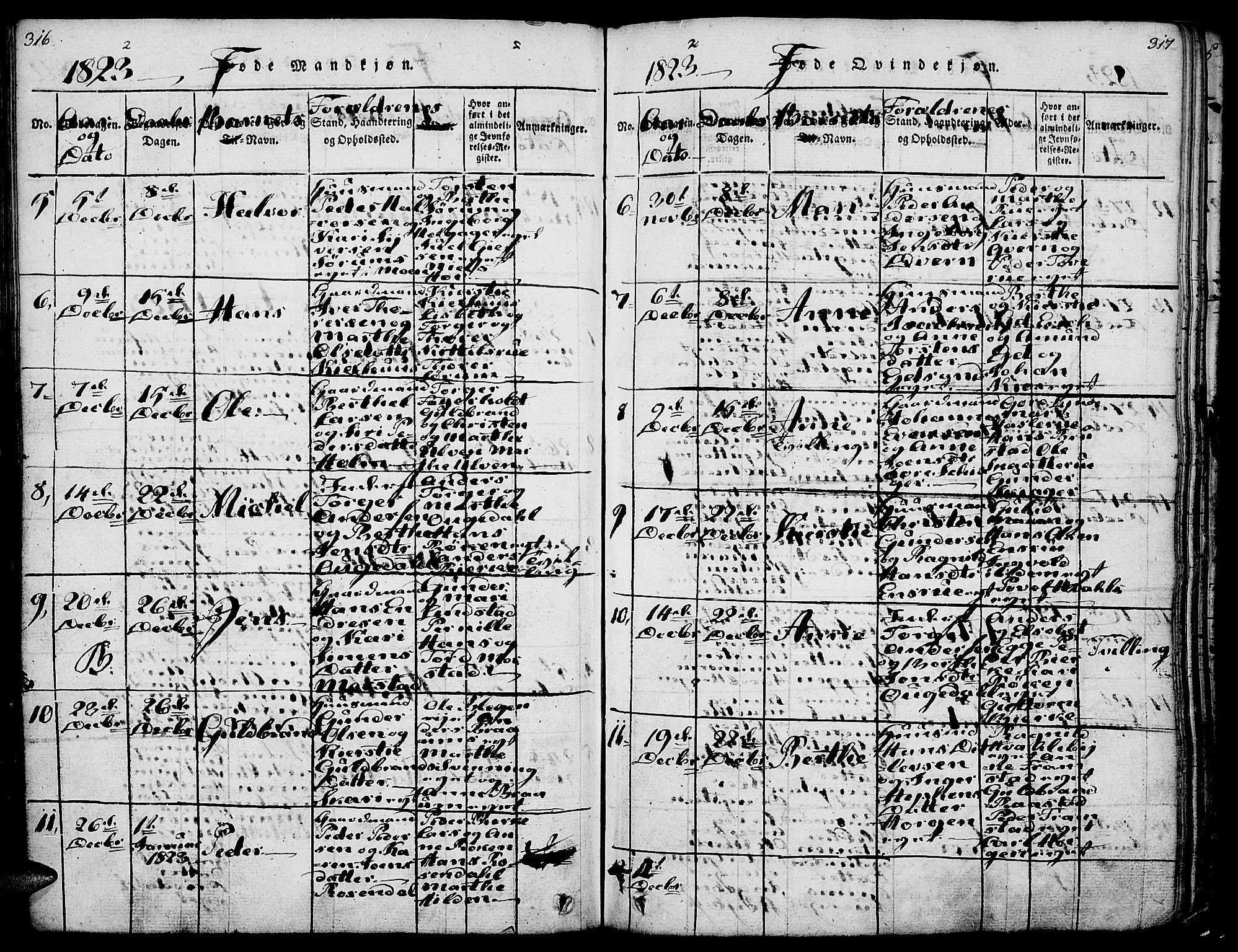 Gran prestekontor, SAH/PREST-112/H/Ha/Haa/L0009: Parish register (official) no. 9, 1815-1824, p. 316-317