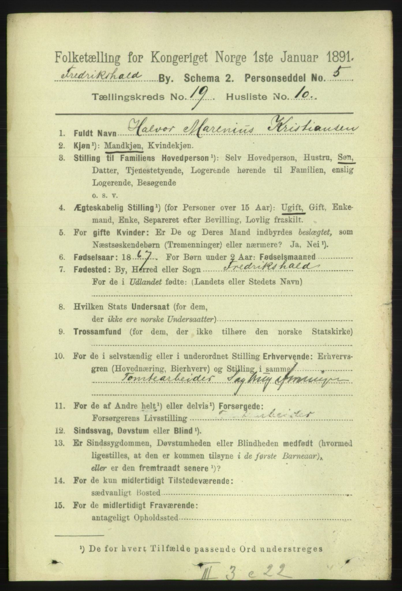 RA, 1891 census for 0101 Fredrikshald, 1891, p. 12050