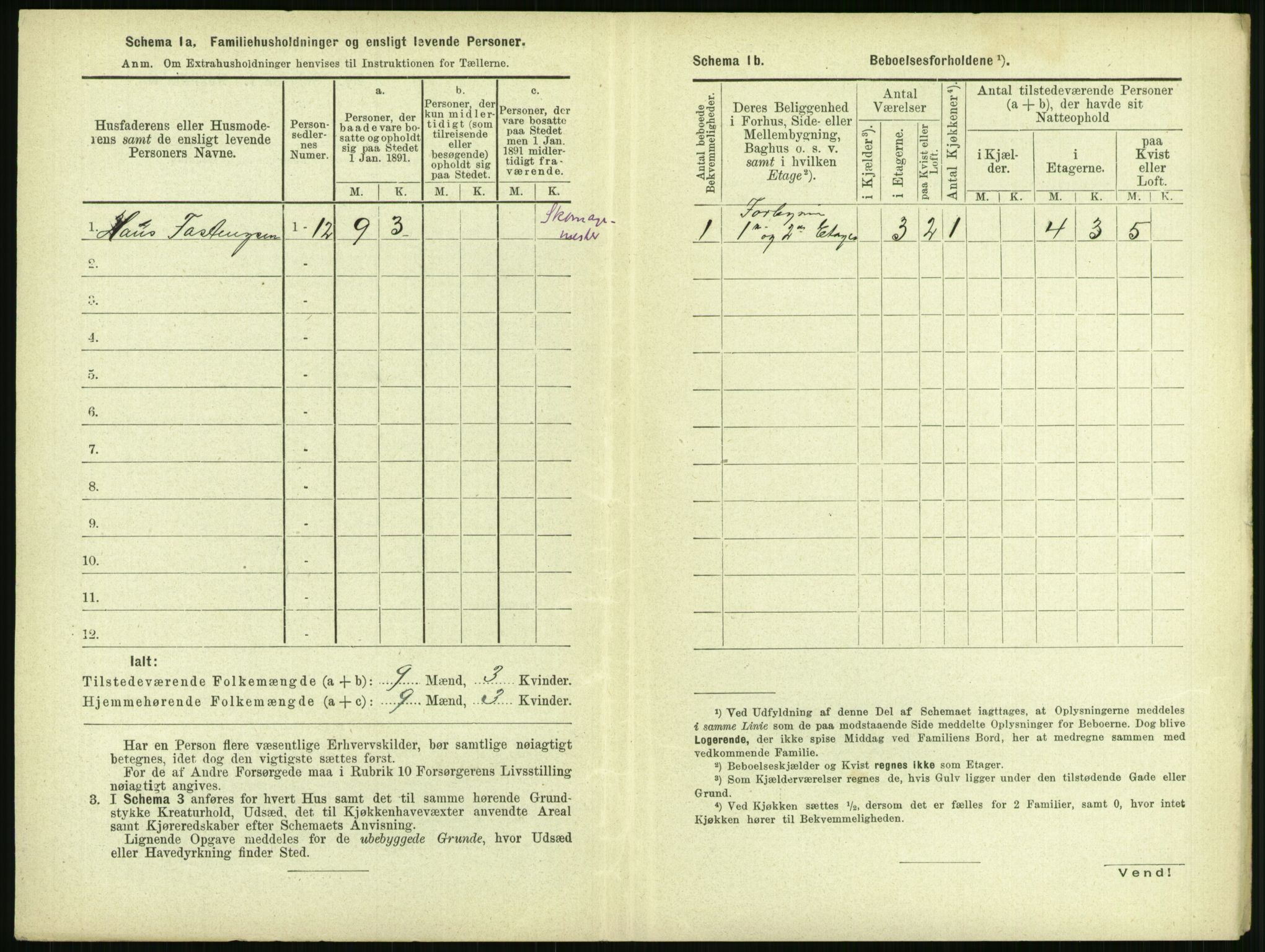 RA, 1891 census for 1106 Haugesund, 1891, p. 1005