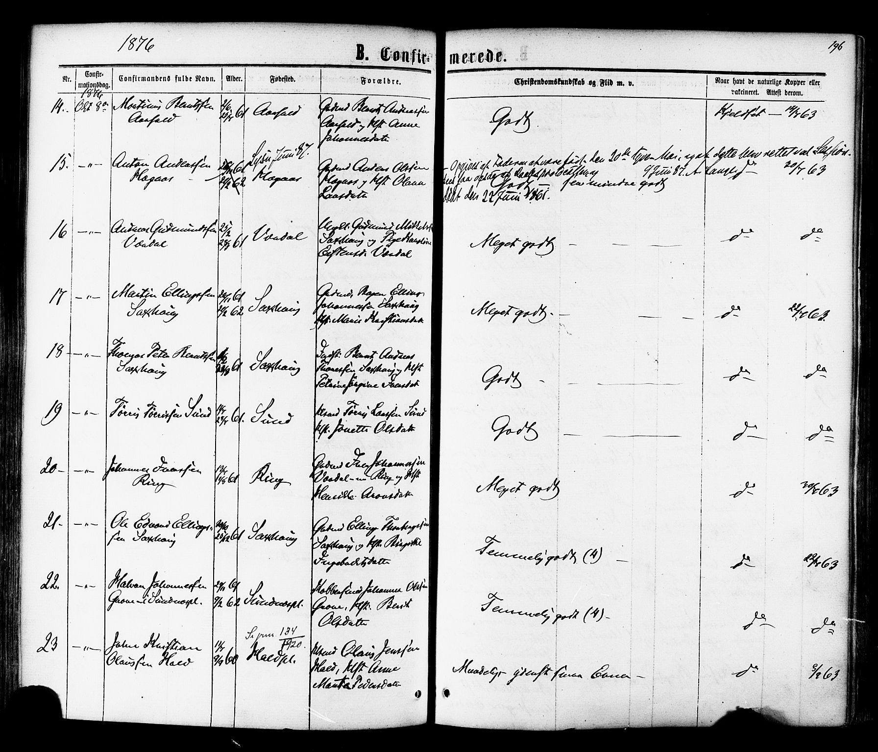 Ministerialprotokoller, klokkerbøker og fødselsregistre - Nord-Trøndelag, AV/SAT-A-1458/730/L0284: Parish register (official) no. 730A09, 1866-1878, p. 196