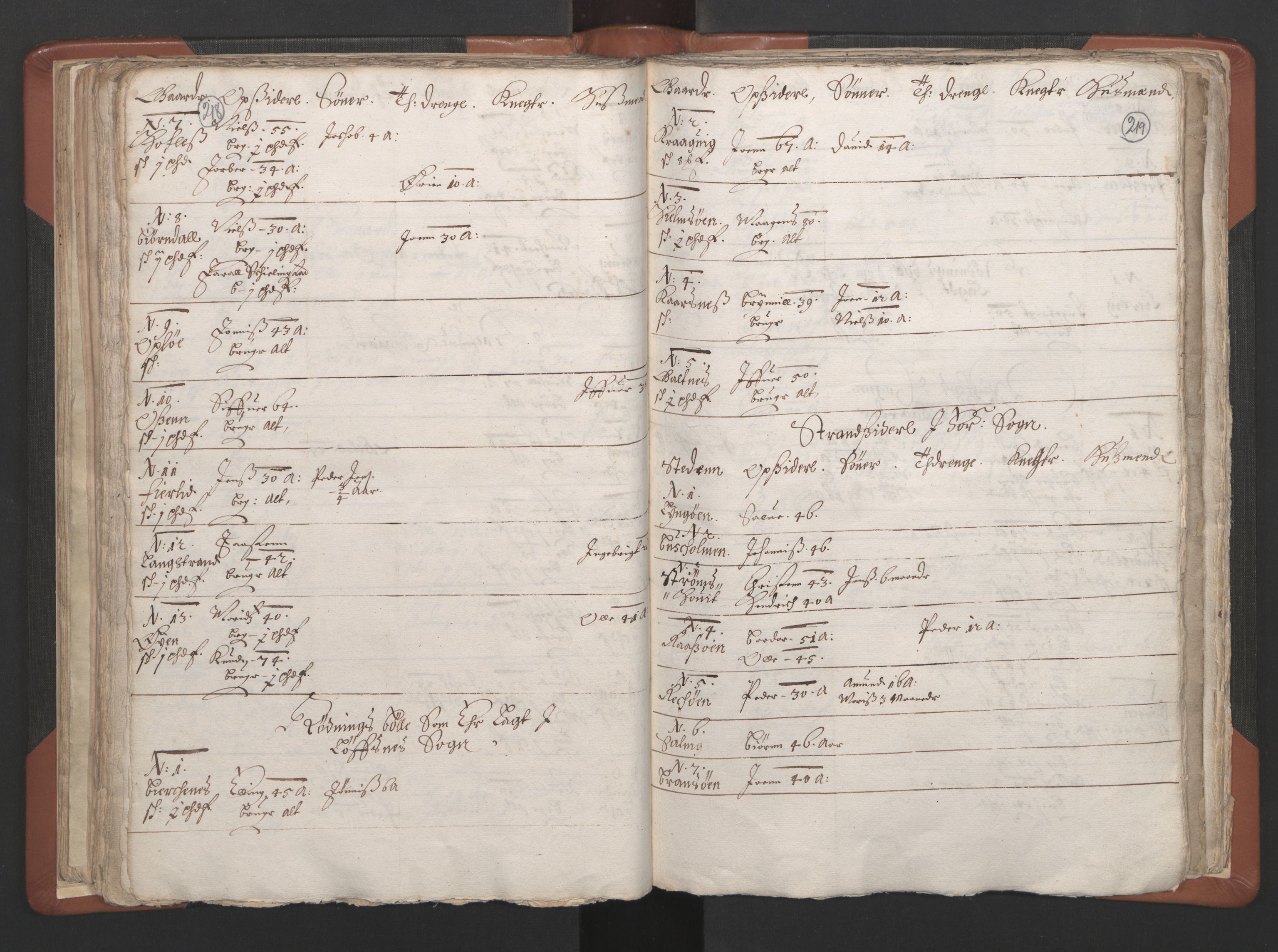 RA, Vicar's Census 1664-1666, no. 34: Namdal deanery, 1664-1666, p. 218-219