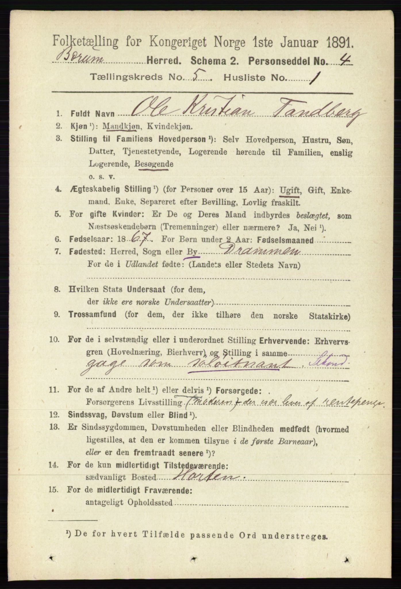 RA, 1891 census for 0219 Bærum, 1891, p. 3005