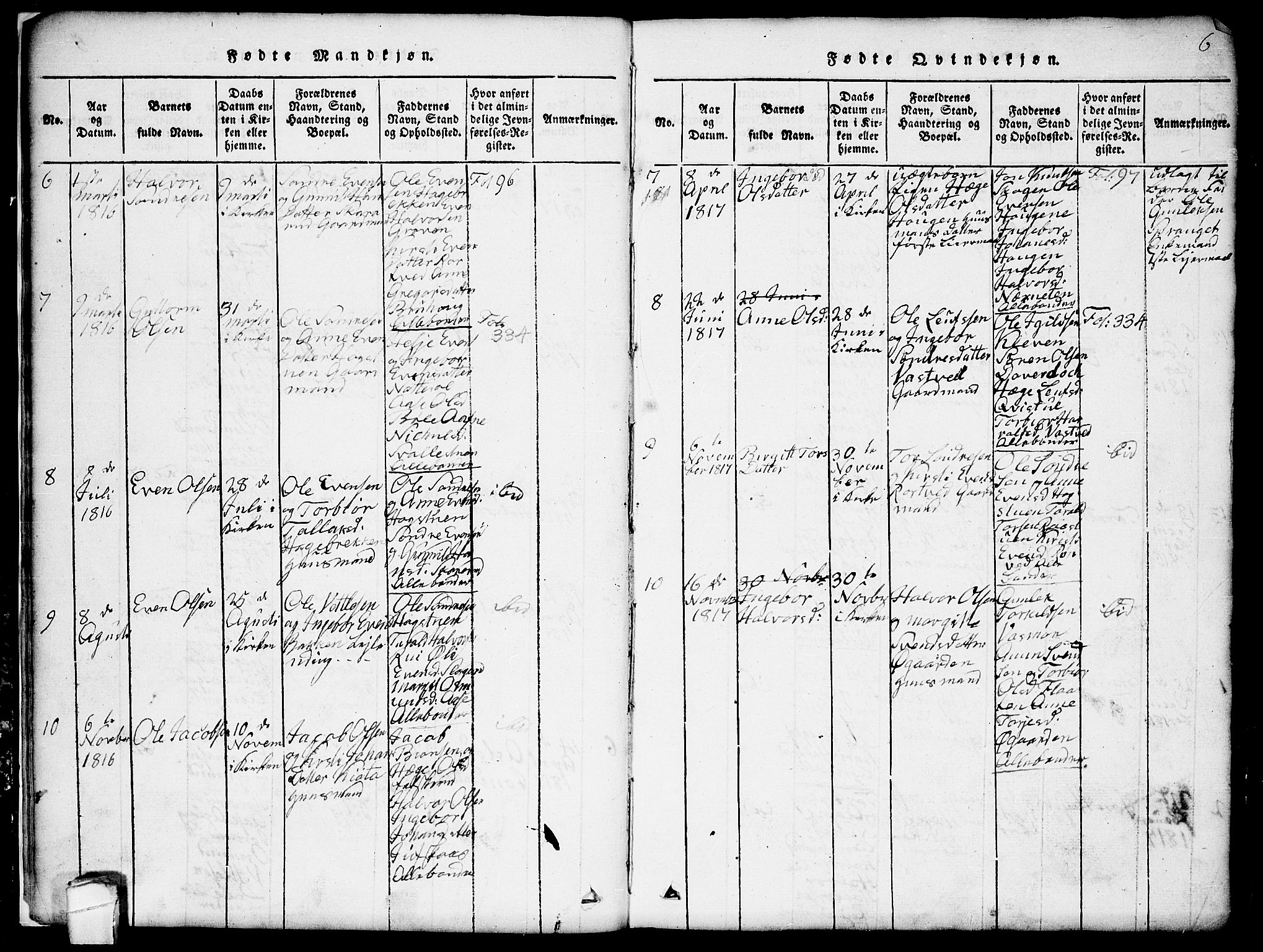 Seljord kirkebøker, SAKO/A-20/G/Gb/L0002: Parish register (copy) no. II 2, 1815-1854, p. 6