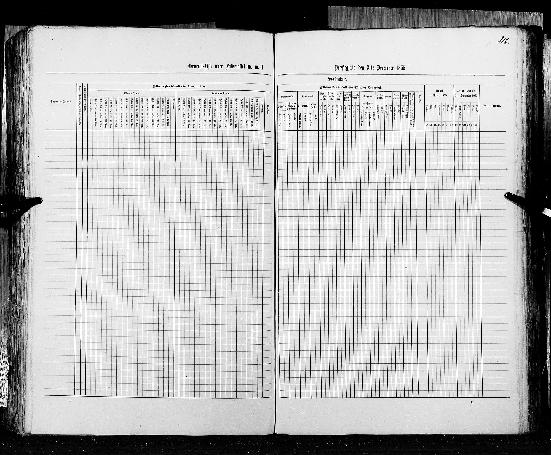 RA, Census 1855, vol. 3: Bratsberg amt, Nedenes amt og Lister og Mandal amt, 1855, p. 212