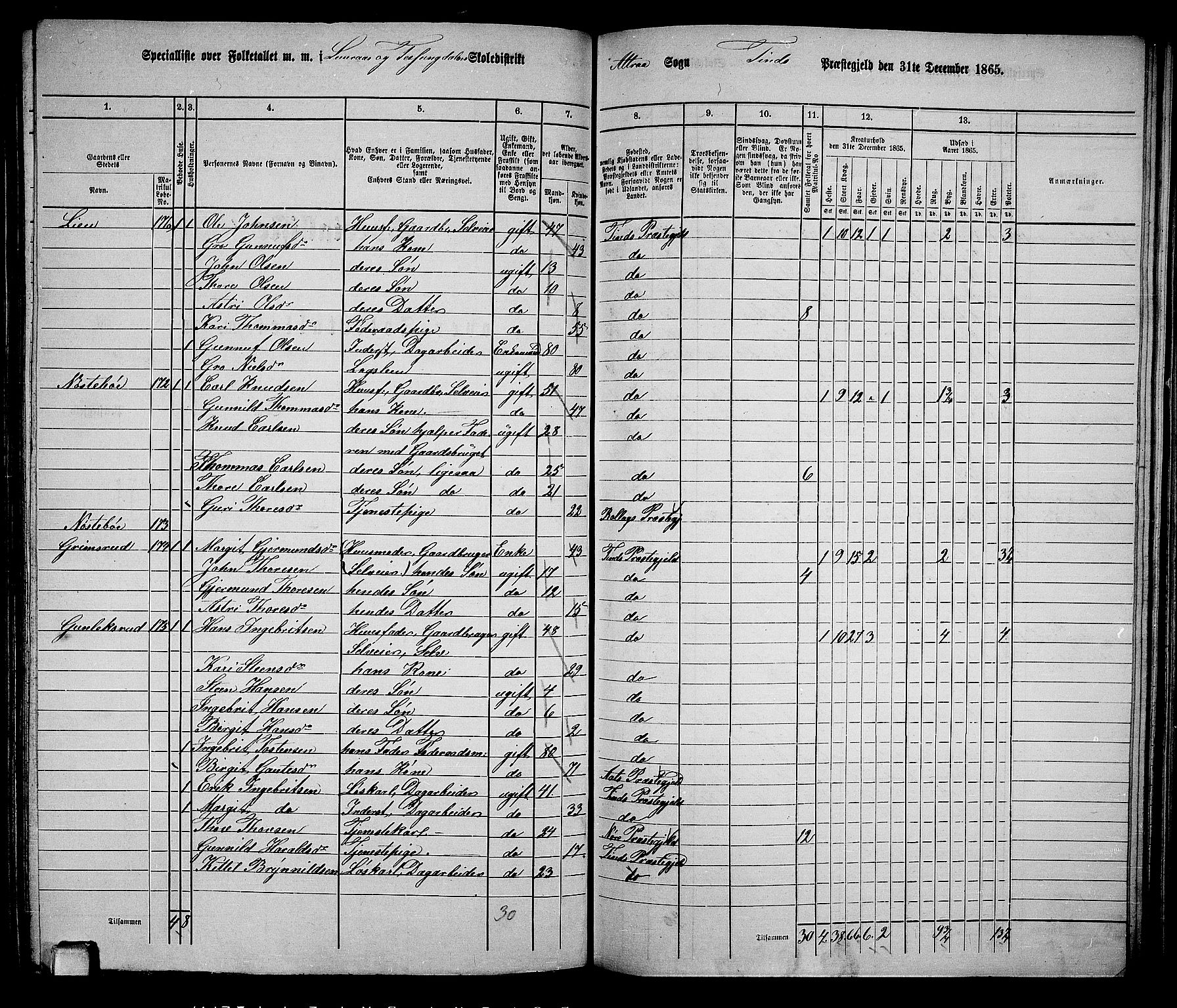 RA, 1865 census for Tinn, 1865, p. 45