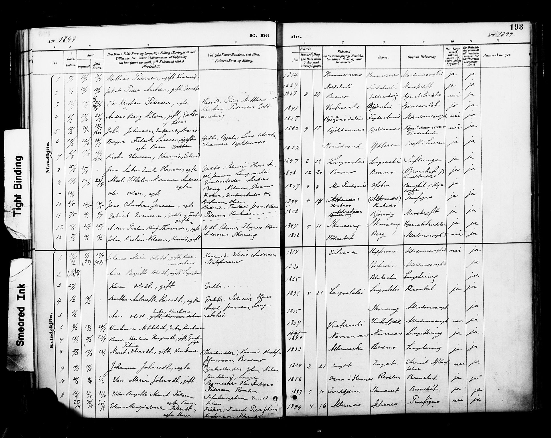 Ministerialprotokoller, klokkerbøker og fødselsregistre - Nordland, SAT/A-1459/827/L0401: Parish register (official) no. 827A13, 1887-1905, p. 193