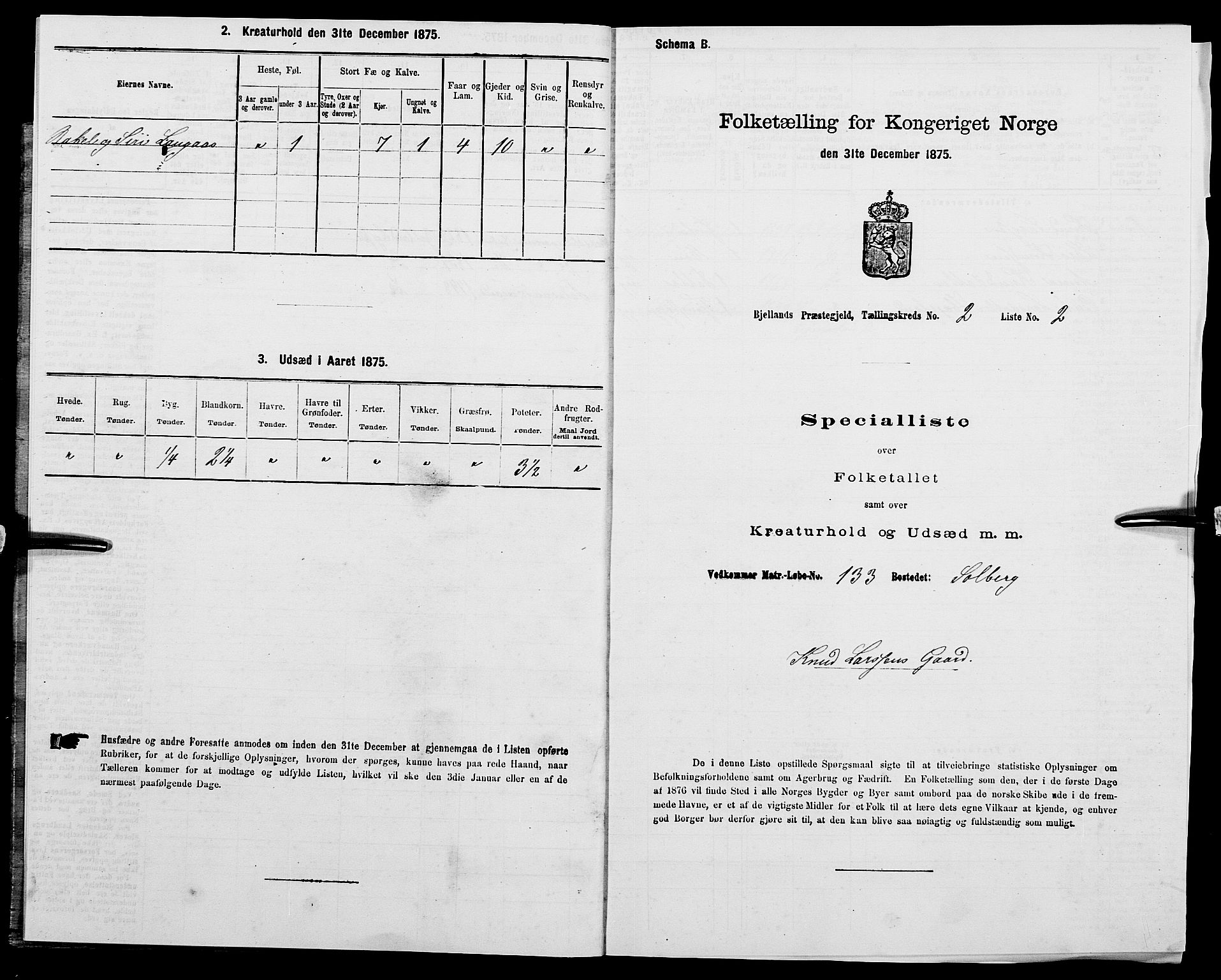 SAK, 1875 census for 1024P Bjelland, 1875, p. 135