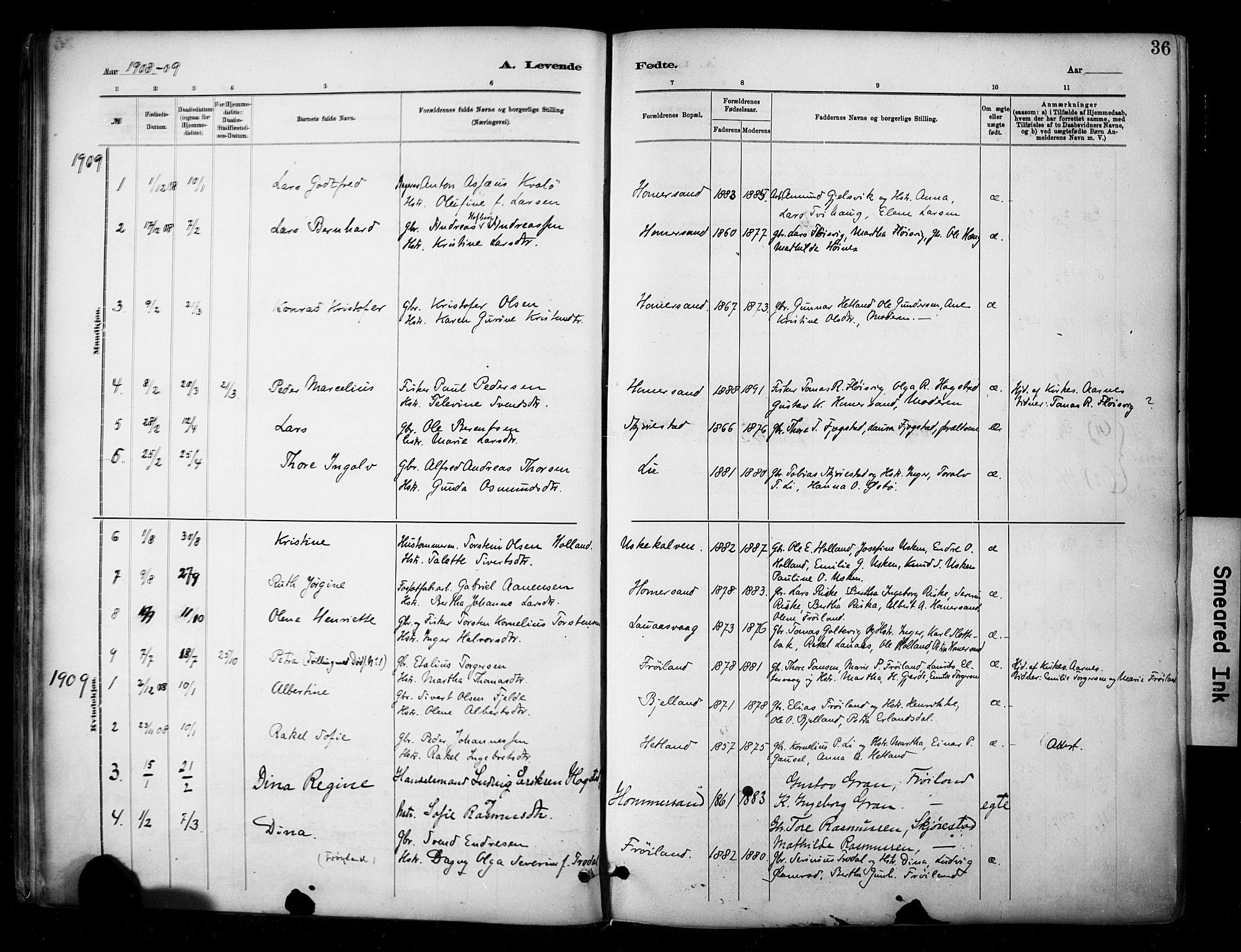 Hetland sokneprestkontor, AV/SAST-A-101826/30/30BA/L0010: Parish register (official) no. A 10, 1882-1925, p. 36