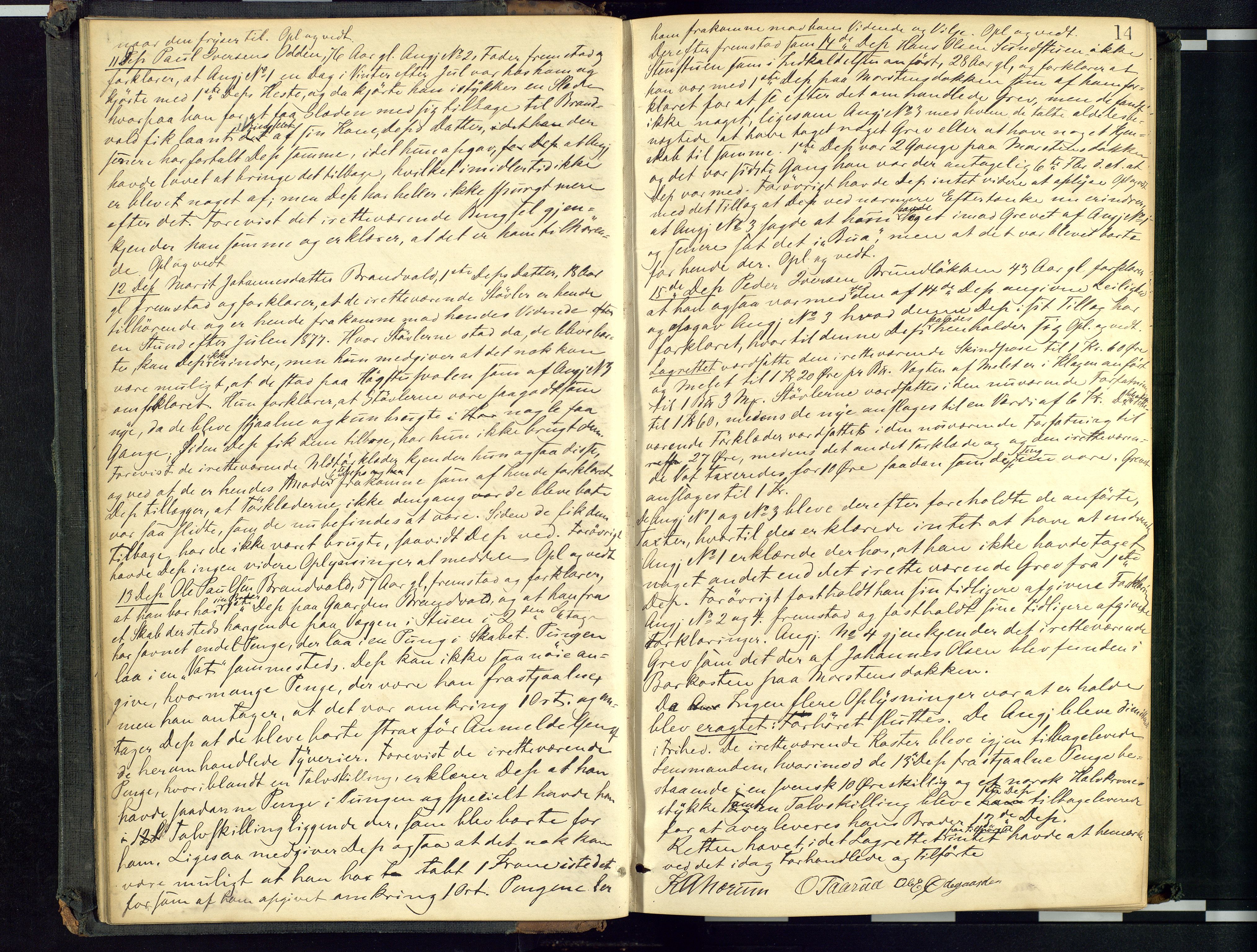 Mellom-Gudbrandsdal sorenskriveri, AV/SAH-TING-038/G/Gc/Gca/L0015: Ekstrarettsprotokoll, 1879-1884, p. 14