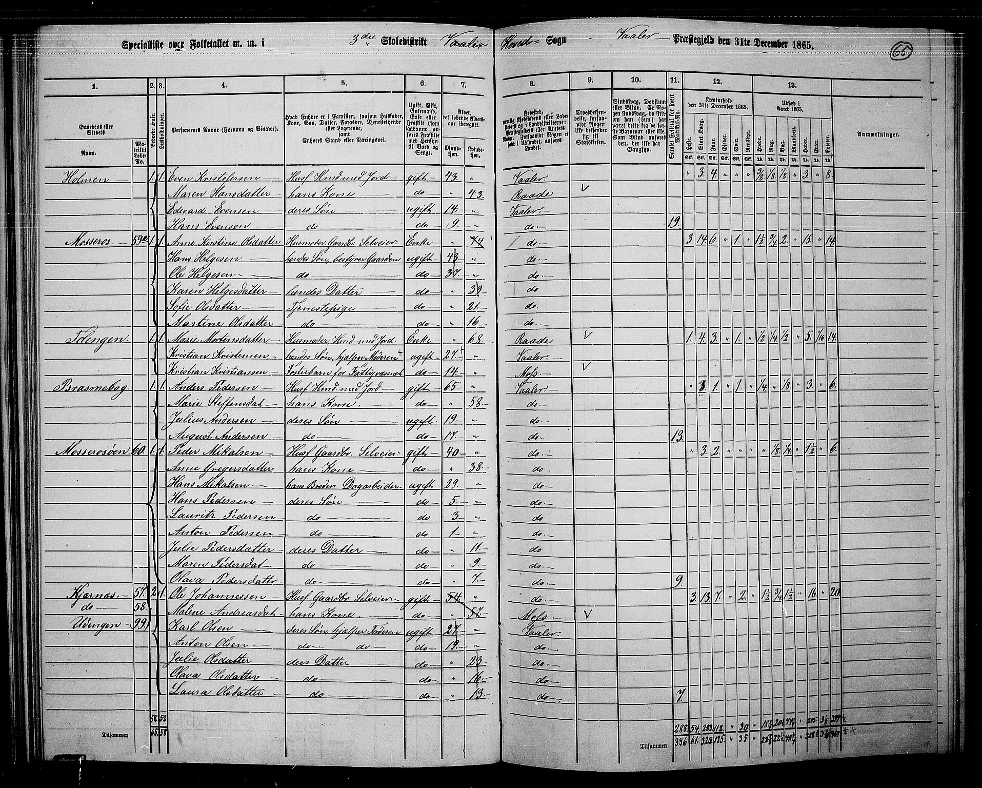 RA, 1865 census for Våler, 1865, p. 60