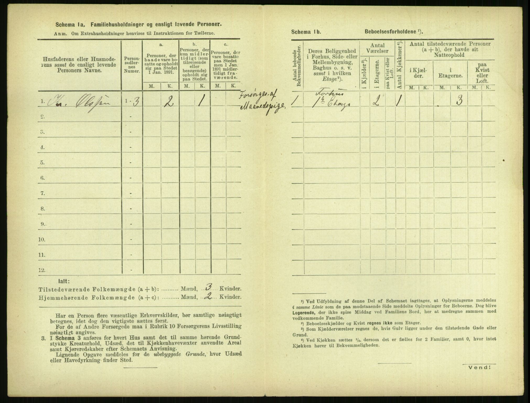 RA, 1891 census for 0806 Skien, 1891, p. 529