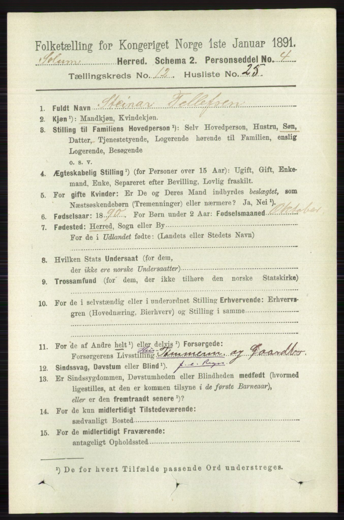 RA, 1891 census for 0818 Solum, 1891, p. 5734