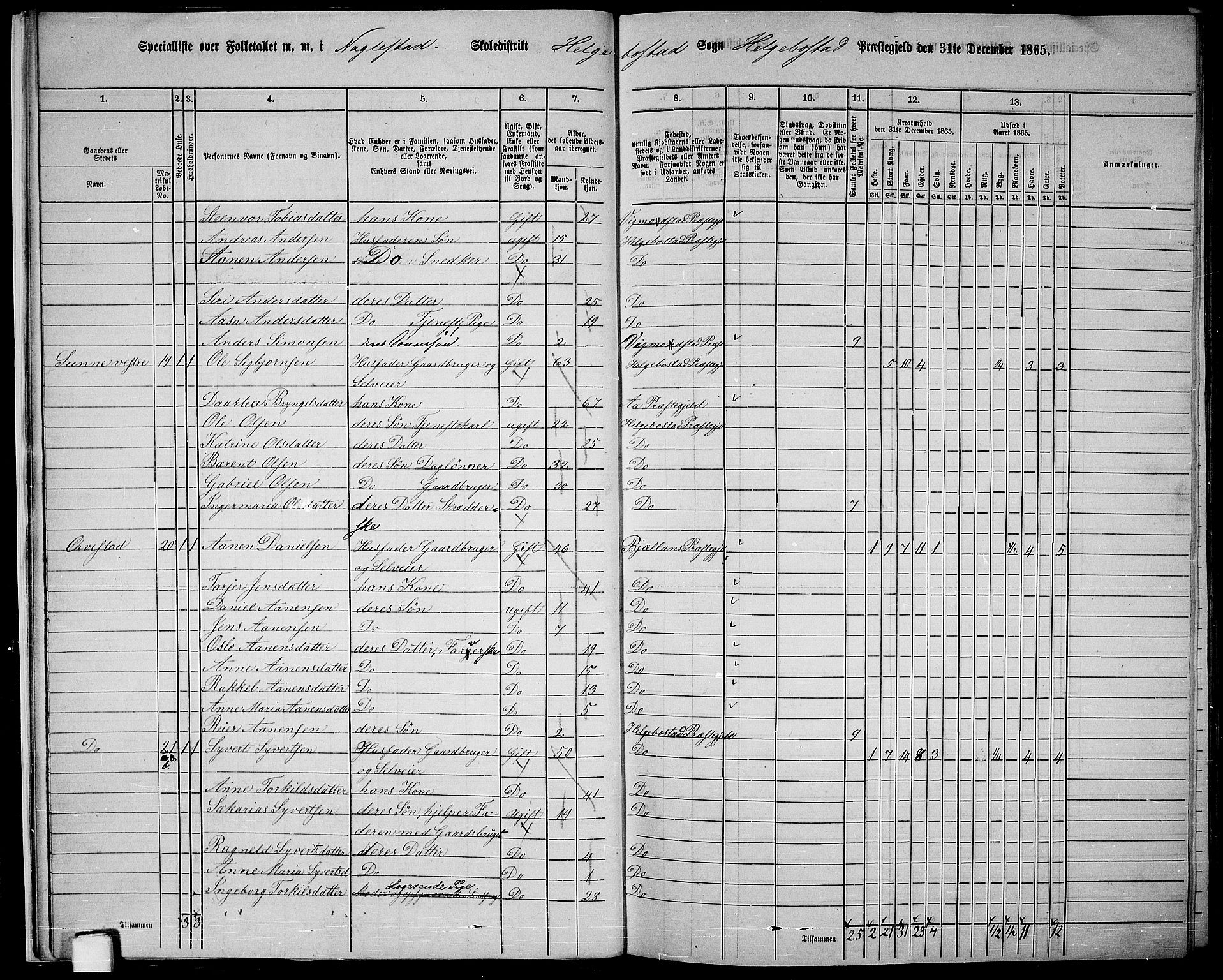 RA, 1865 census for Hægebostad, 1865, p. 15