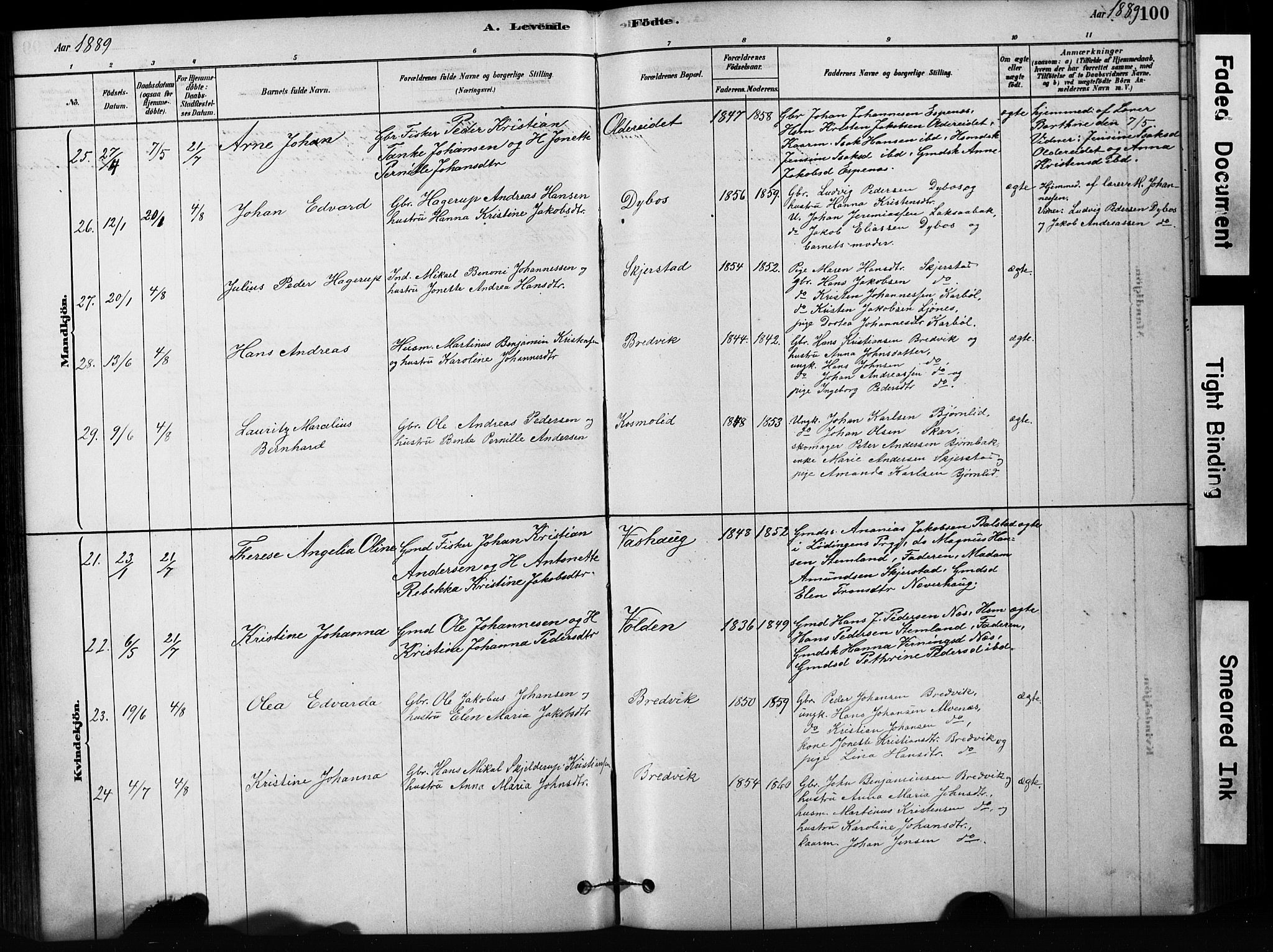Ministerialprotokoller, klokkerbøker og fødselsregistre - Nordland, SAT/A-1459/852/L0754: Parish register (copy) no. 852C05, 1878-1894, p. 100