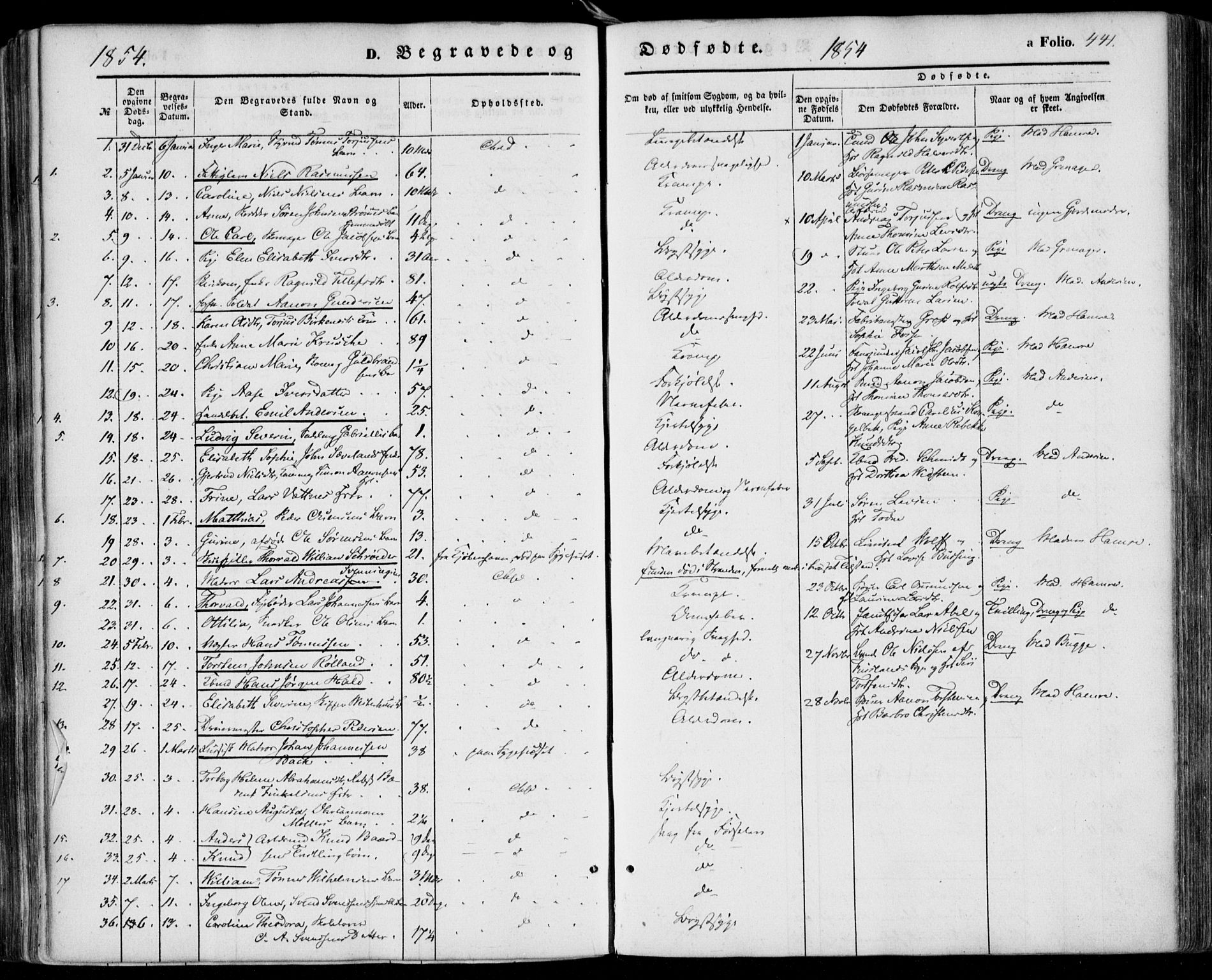 Kristiansand domprosti, SAK/1112-0006/F/Fa/L0014: Parish register (official) no. A 14, 1852-1867, p. 441