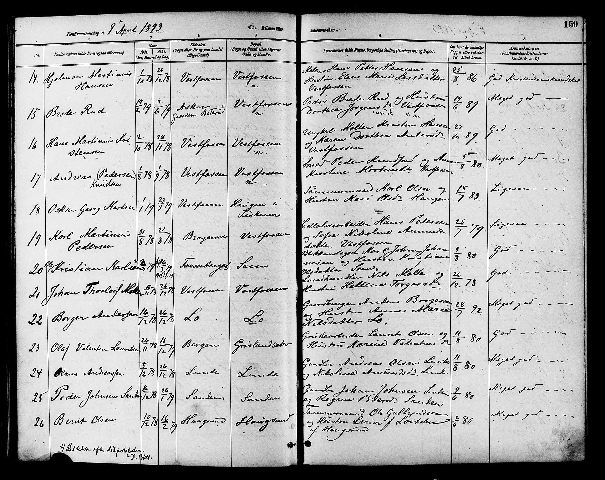 Eiker kirkebøker, AV/SAKO-A-4/F/Fb/L0002: Parish register (official) no. II 2, 1889-1896, p. 159