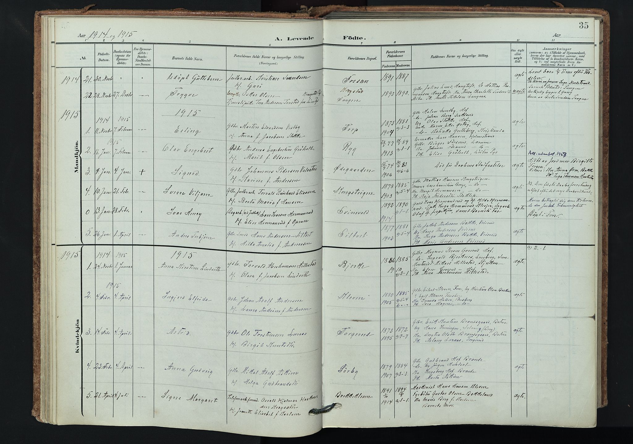 Våle kirkebøker, AV/SAKO-A-334/F/Fa/L0012: Parish register (official) no. I 12, 1907-1934, p. 35