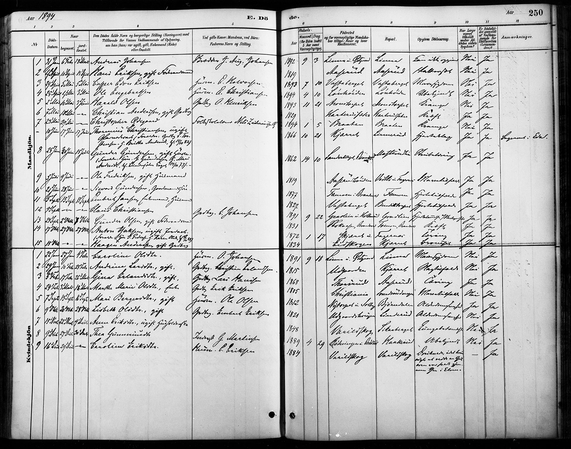 Vinger prestekontor, AV/SAH-PREST-024/H/Ha/Haa/L0015: Parish register (official) no. 15, 1881-1900, p. 250