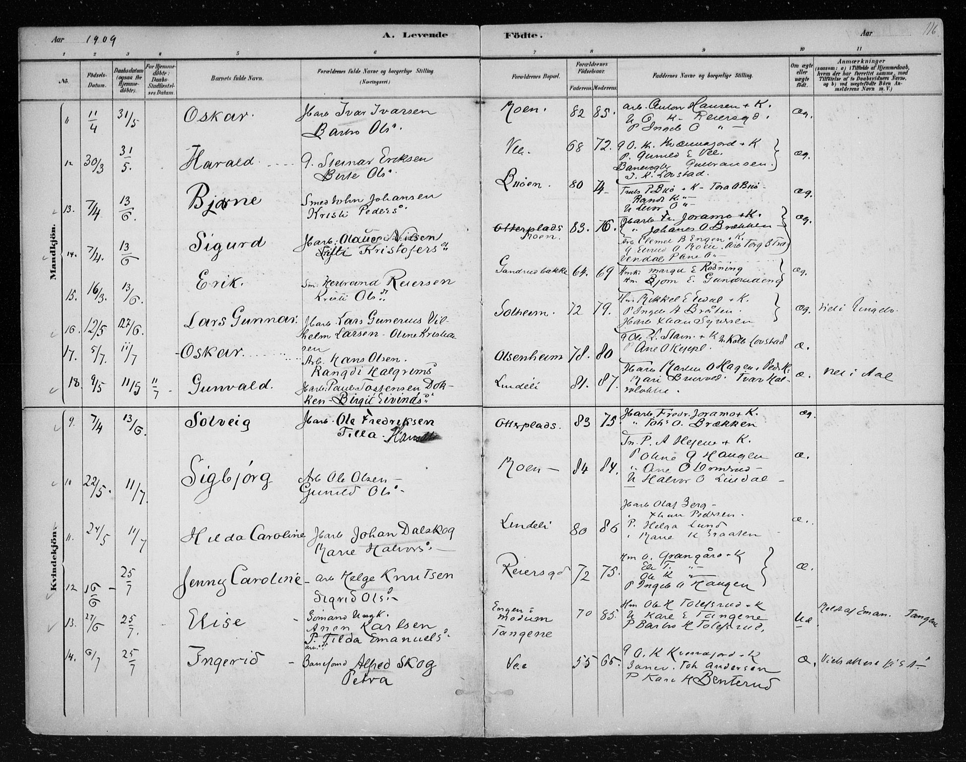 Nes kirkebøker, AV/SAKO-A-236/F/Fa/L0012: Parish register (official) no. 12, 1881-1917, p. 116