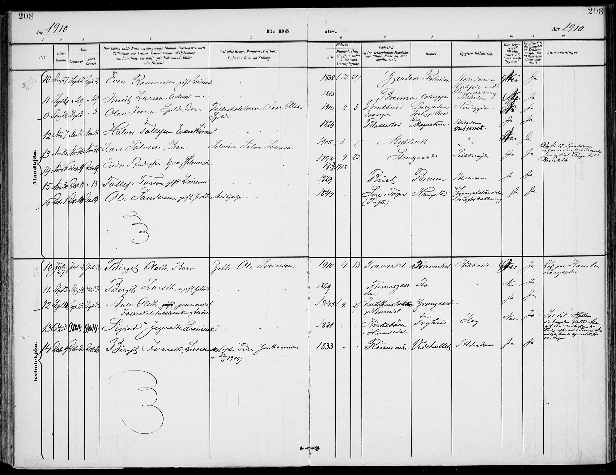 Gol kirkebøker, SAKO/A-226/F/Fa/L0006: Parish register (official) no. I 6, 1901-1918, p. 208
