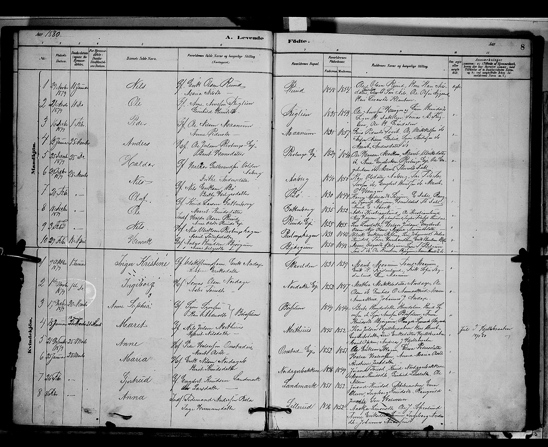 Nord-Aurdal prestekontor, AV/SAH-PREST-132/H/Ha/Hab/L0006: Parish register (copy) no. 6, 1878-1892, p. 8