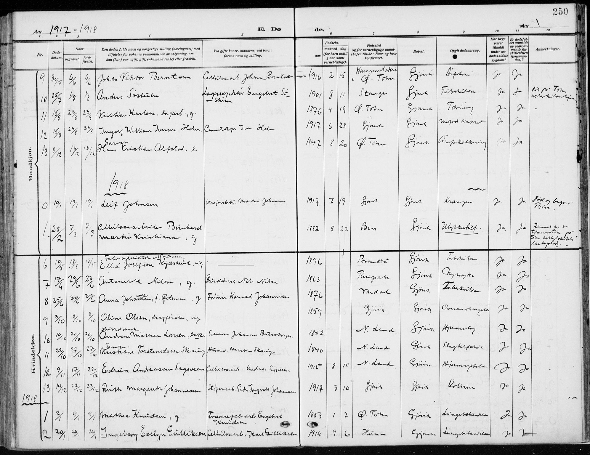 Vardal prestekontor, SAH/PREST-100/H/Ha/Haa/L0014: Parish register (official) no. 14, 1912-1922, p. 250