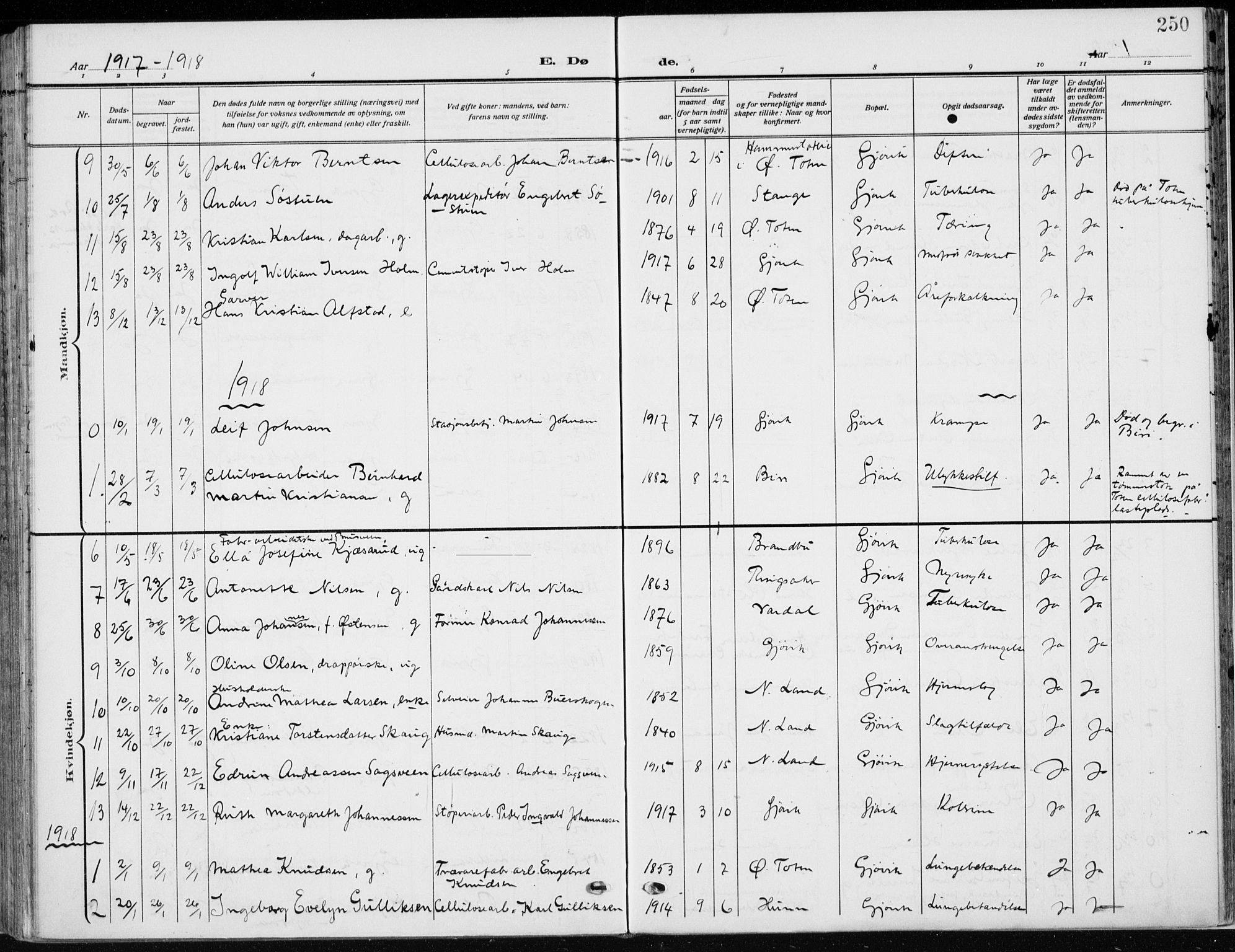 Vardal prestekontor, AV/SAH-PREST-100/H/Ha/Haa/L0014: Parish register (official) no. 14, 1912-1922, p. 250