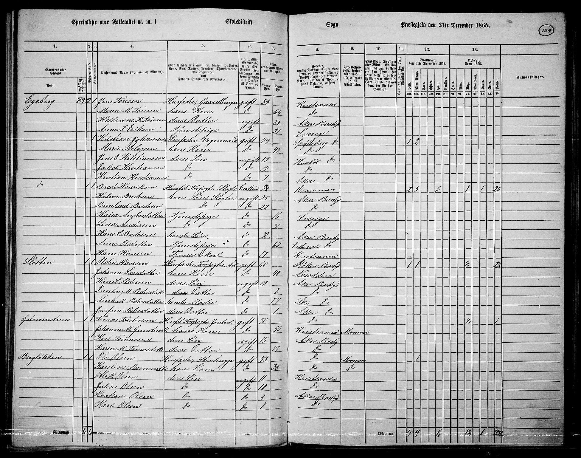 RA, 1865 census for Østre Aker, 1865, p. 333