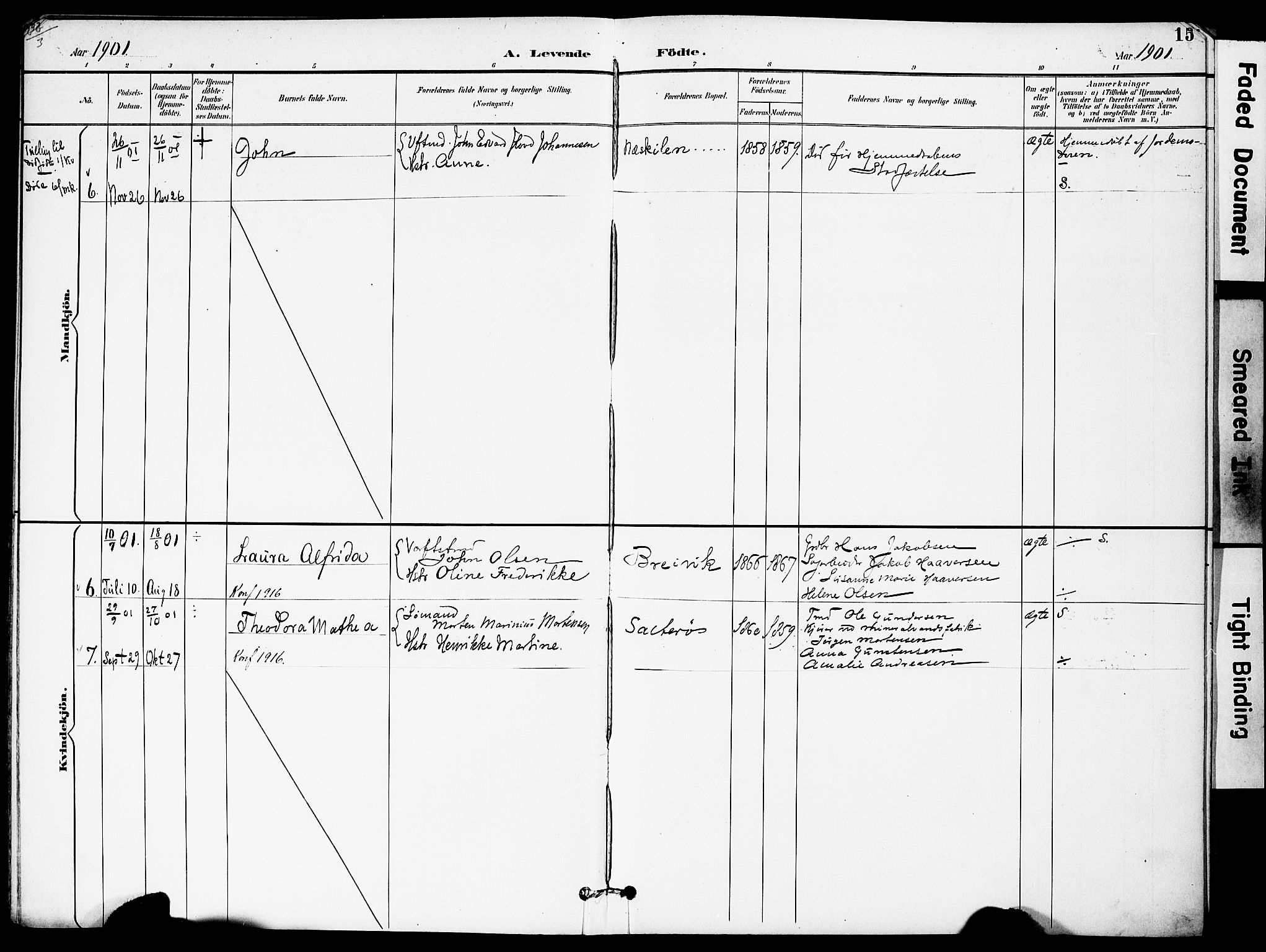 Austre Moland sokneprestkontor, AV/SAK-1111-0001/F/Fa/Fab/L0002: Parish register (official) no. A 2, 1894-1919, p. 15