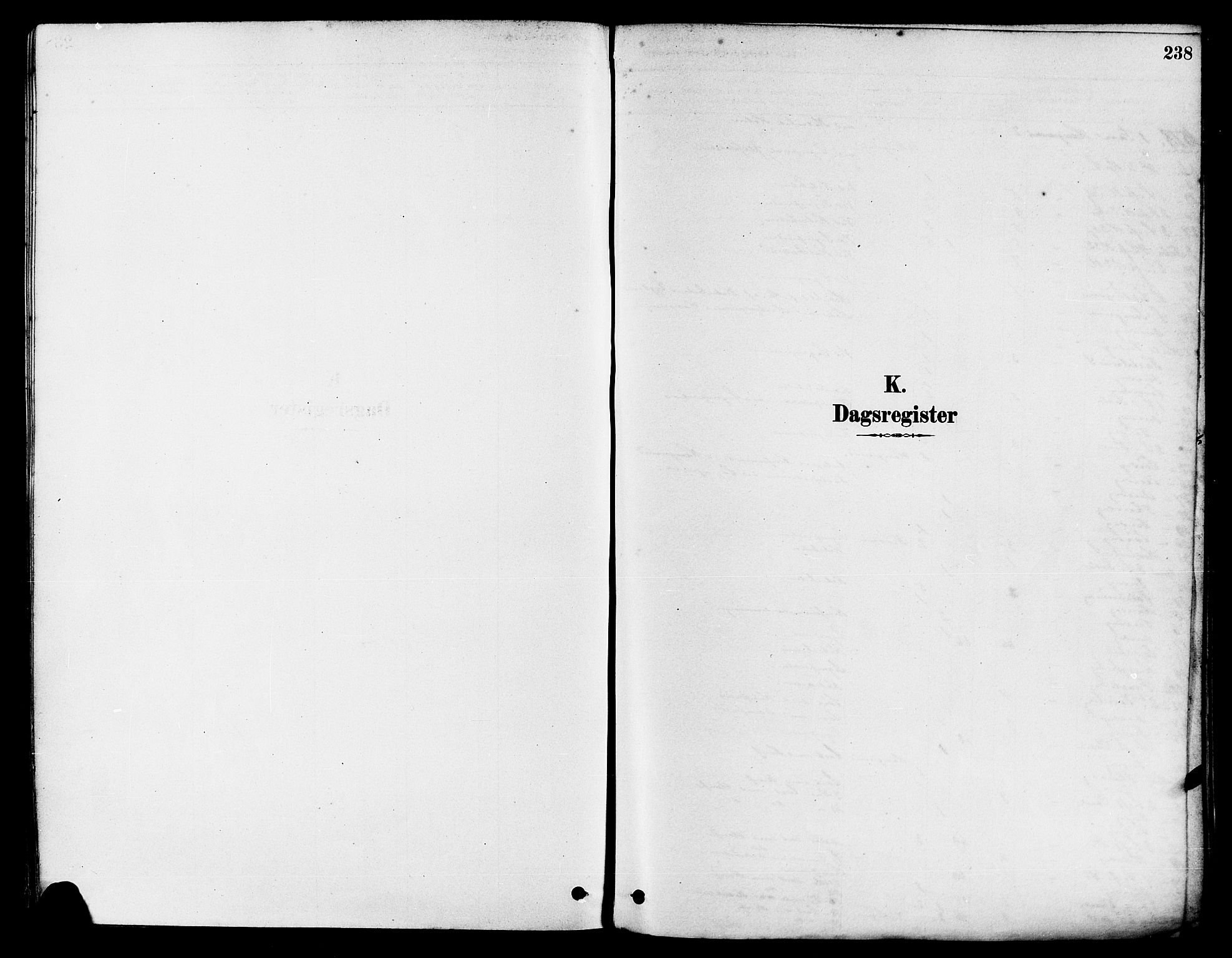 Haugesund sokneprestkontor, SAST/A -101863/H/Ha/Haa/L0001: Parish register (official) no. A 1, 1878-1885, p. 238