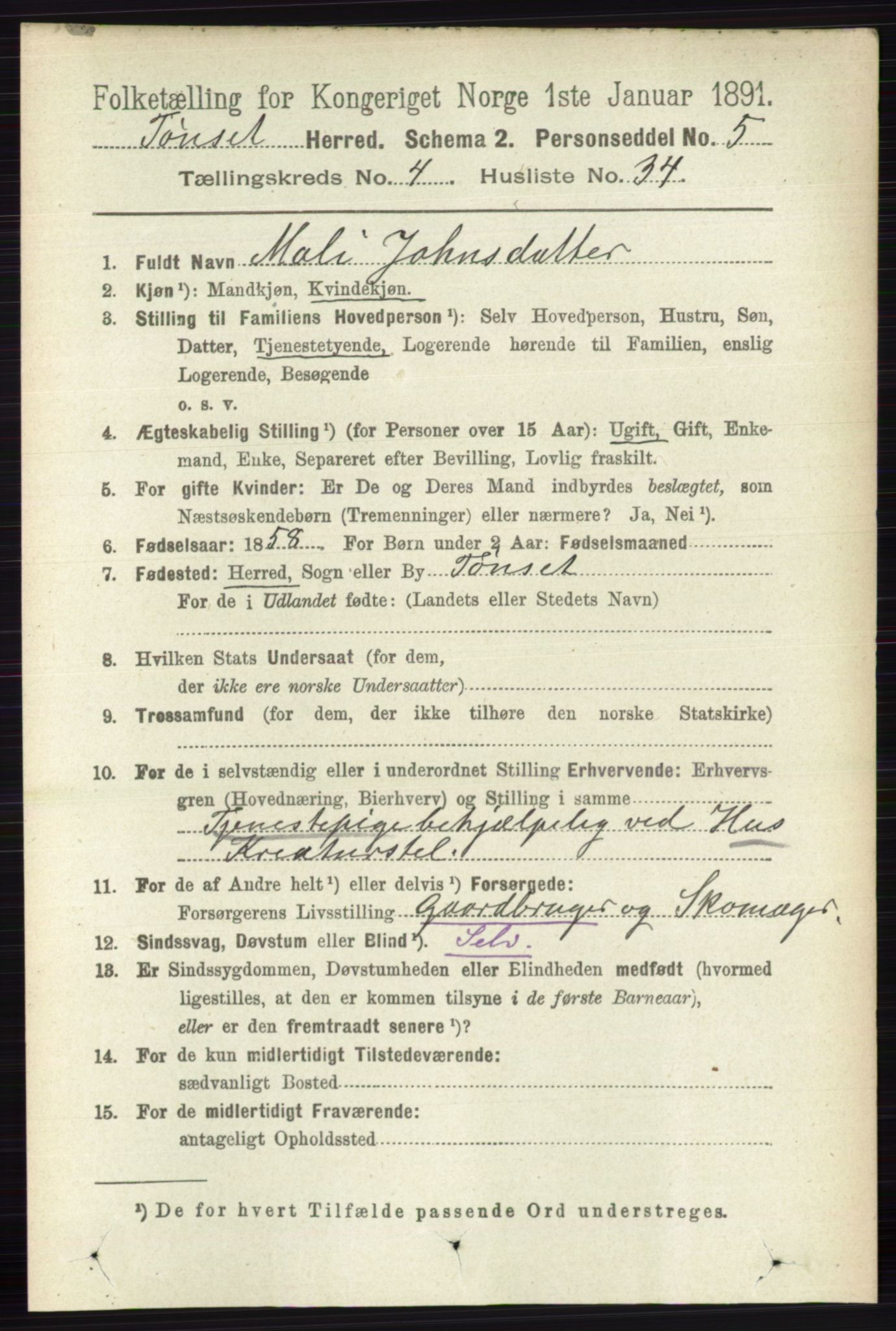 RA, 1891 census for 0437 Tynset, 1891, p. 958