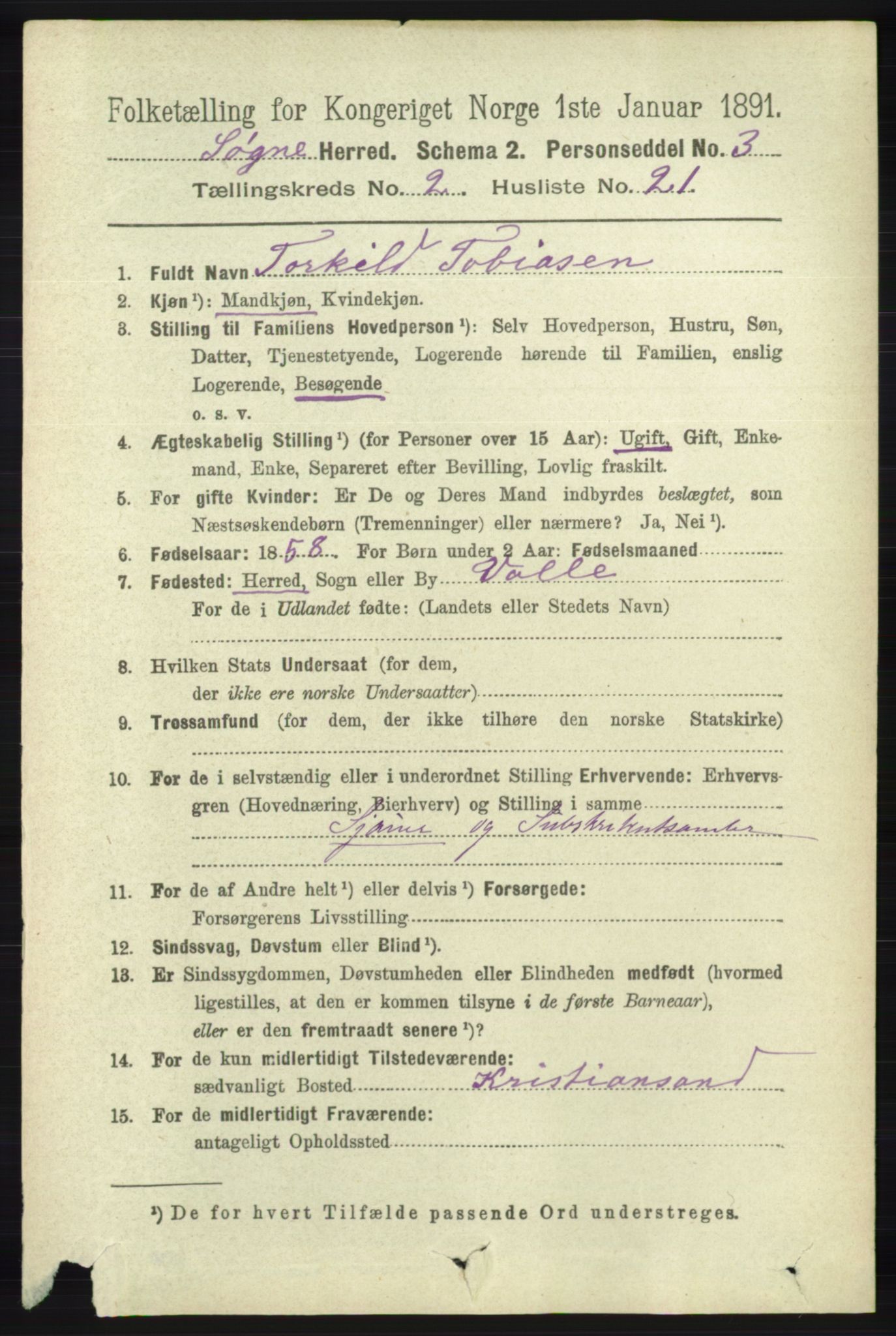 RA, 1891 census for 1018 Søgne, 1891, p. 263