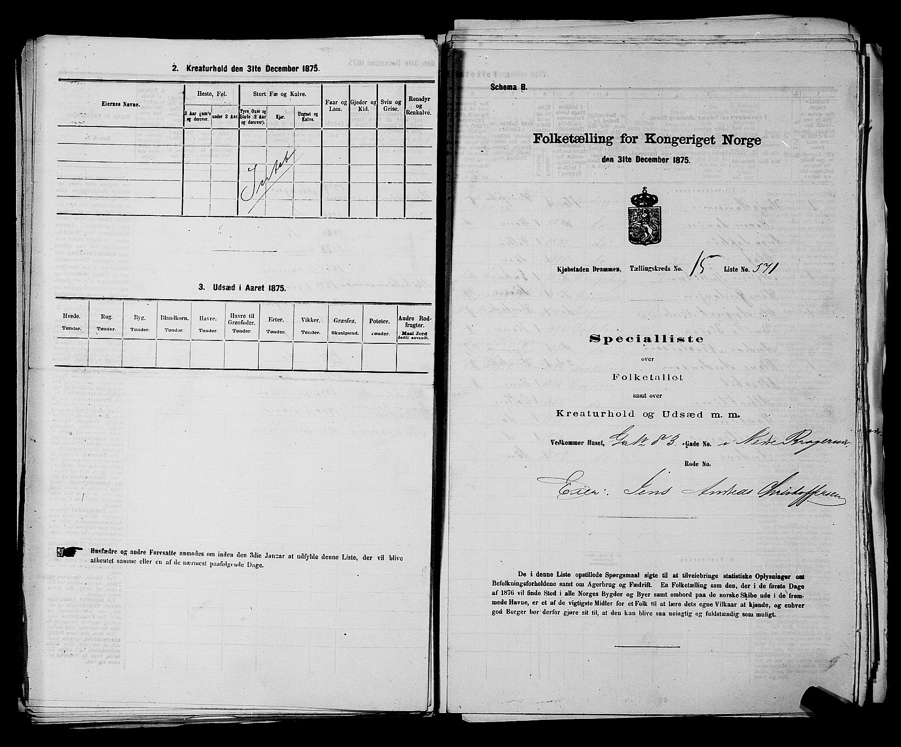 SAKO, 1875 census for 0602 Drammen, 1875, p. 1694