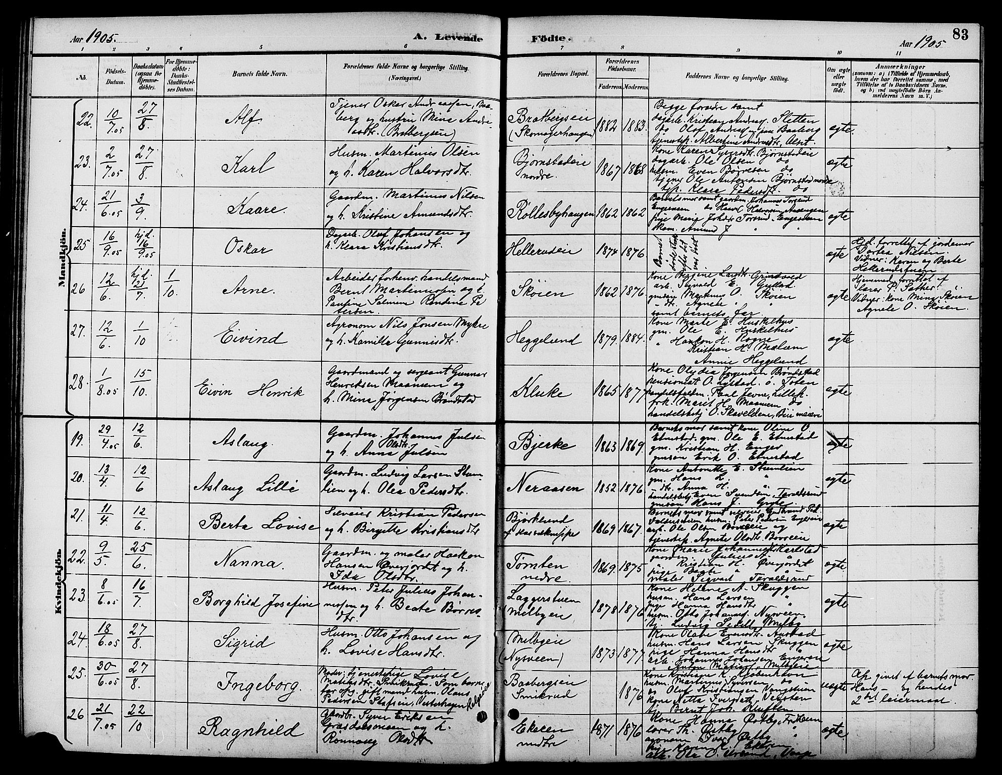 Biri prestekontor, SAH/PREST-096/H/Ha/Hab/L0004: Parish register (copy) no. 4, 1892-1909, p. 83