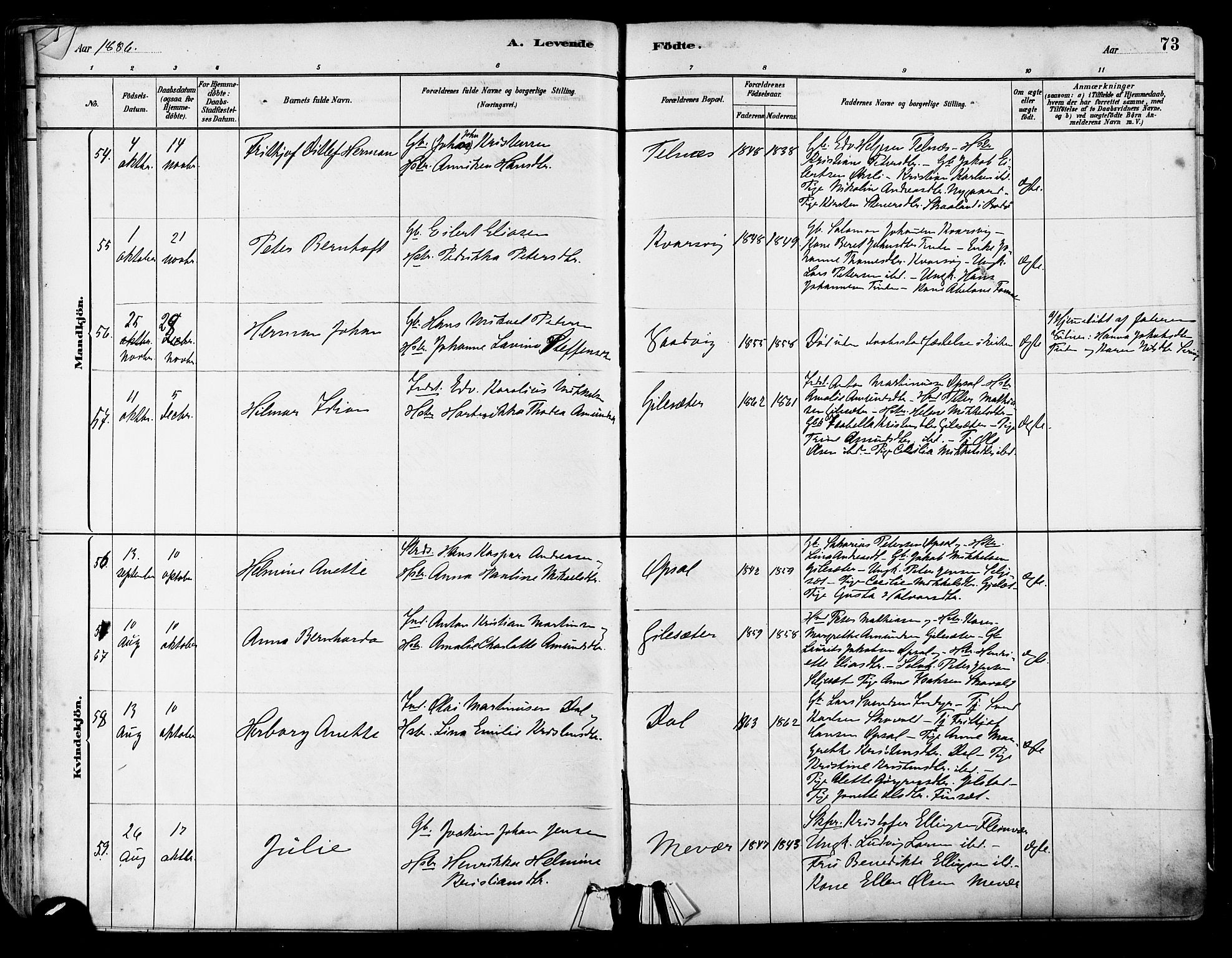 Ministerialprotokoller, klokkerbøker og fødselsregistre - Nordland, AV/SAT-A-1459/805/L0099: Parish register (official) no. 805A06, 1880-1891, p. 73