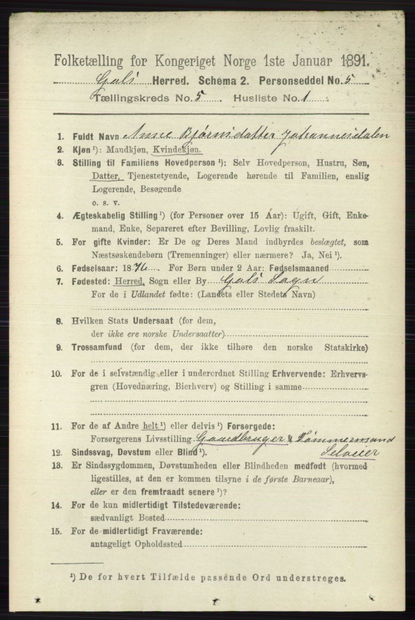 RA, 1891 census for 0617 Gol og Hemsedal, 1891, p. 2309