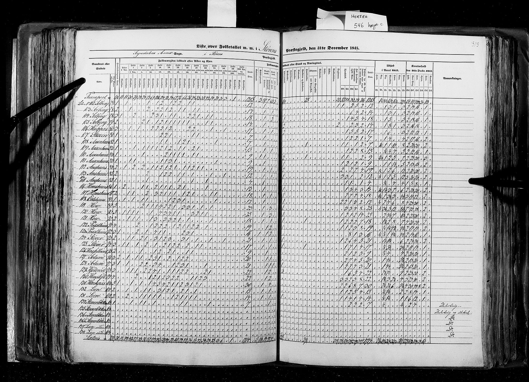 RA, Census 1845, vol. 8: Romsdal amt og Søndre Trondhjems amt, 1845, p. 313