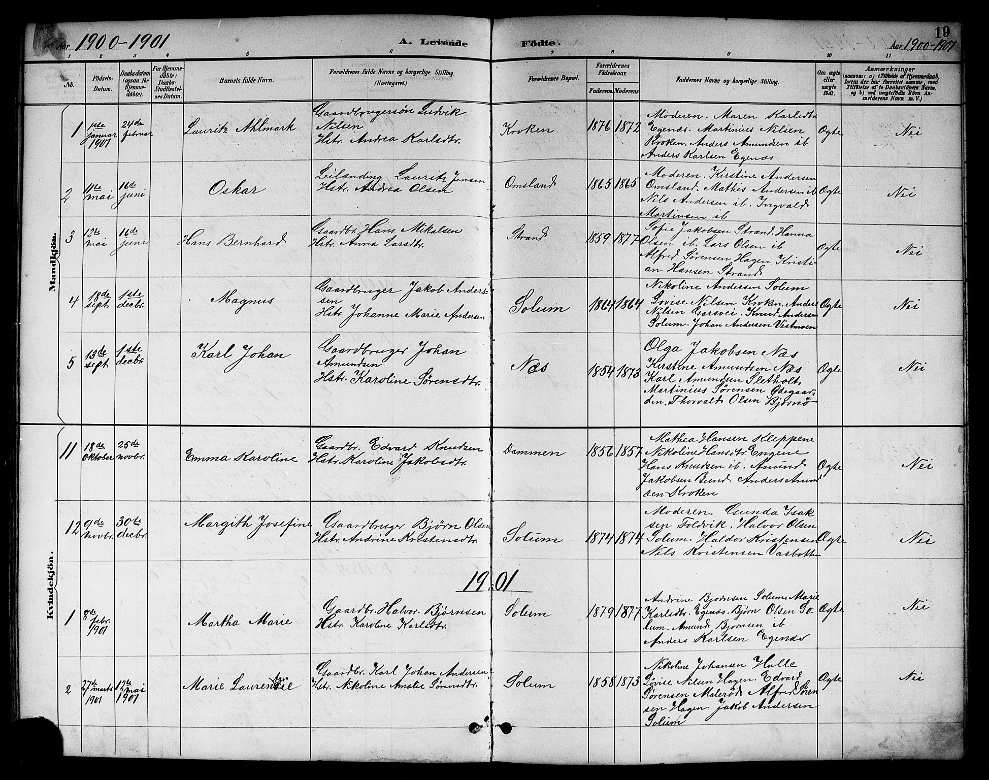 Brunlanes kirkebøker, SAKO/A-342/G/Gc/L0002: Parish register (copy) no. III 2, 1891-1922, p. 19