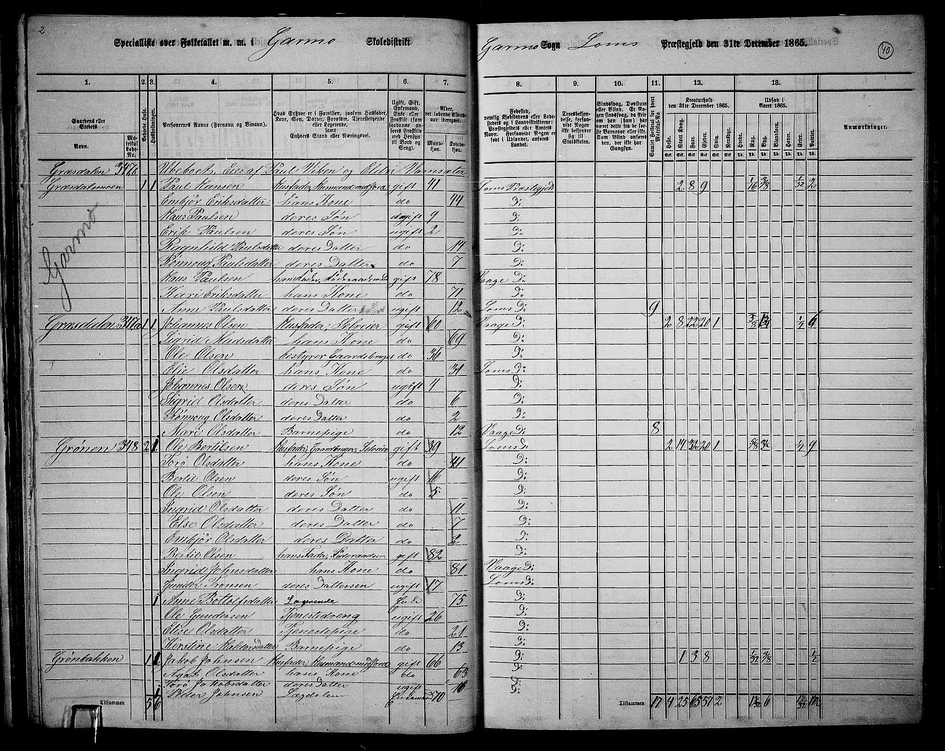 RA, 1865 census for Lom, 1865, p. 38