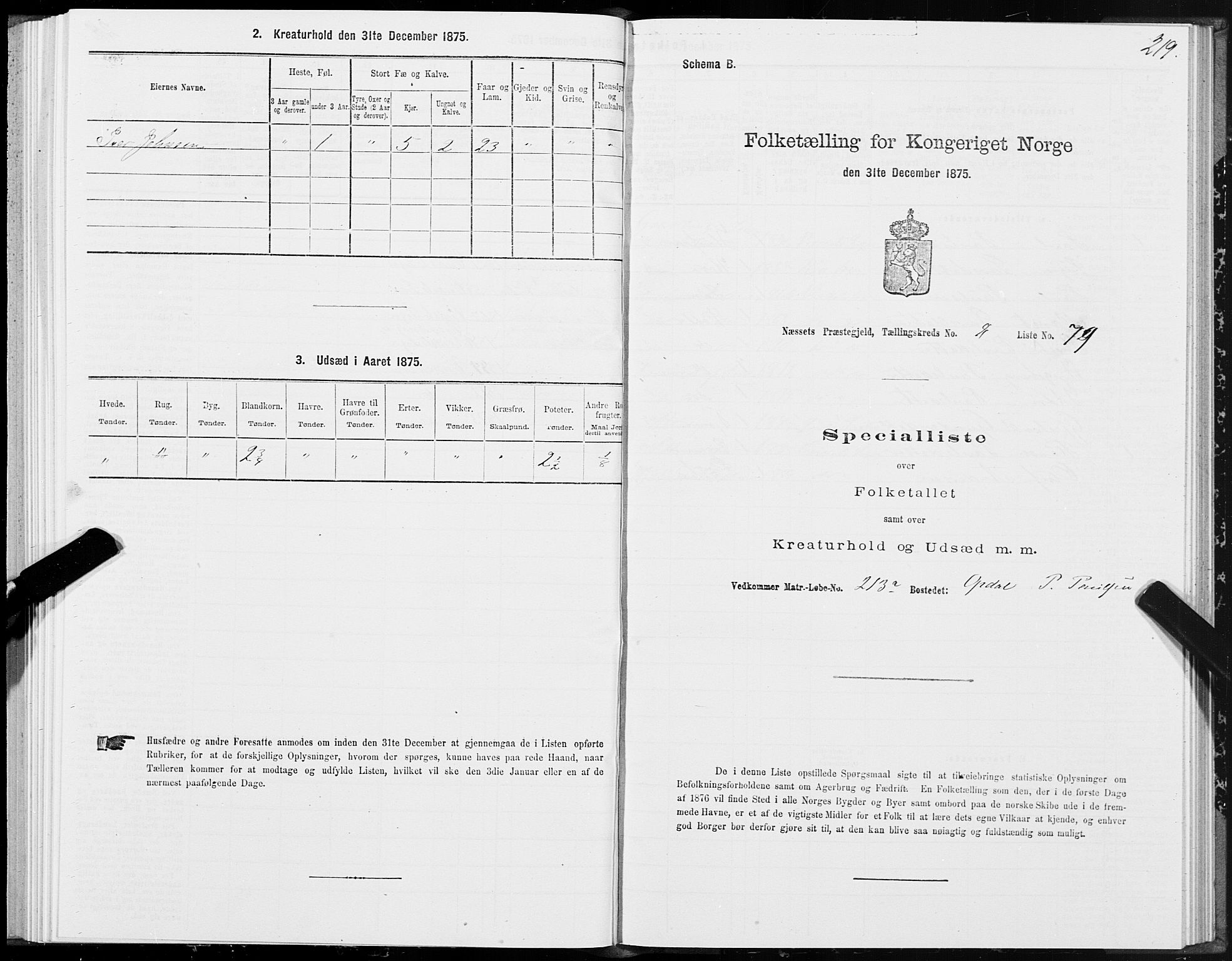 SAT, 1875 census for 1543P Nesset, 1875, p. 4219