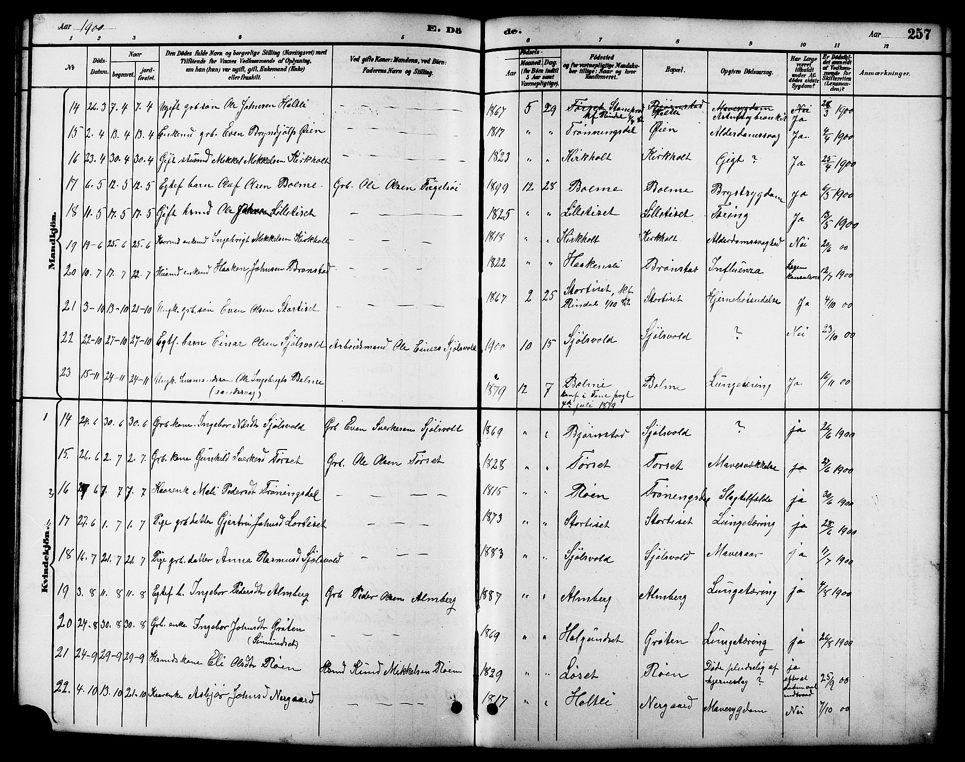 Ministerialprotokoller, klokkerbøker og fødselsregistre - Møre og Romsdal, AV/SAT-A-1454/598/L1078: Parish register (copy) no. 598C03, 1892-1909, p. 257