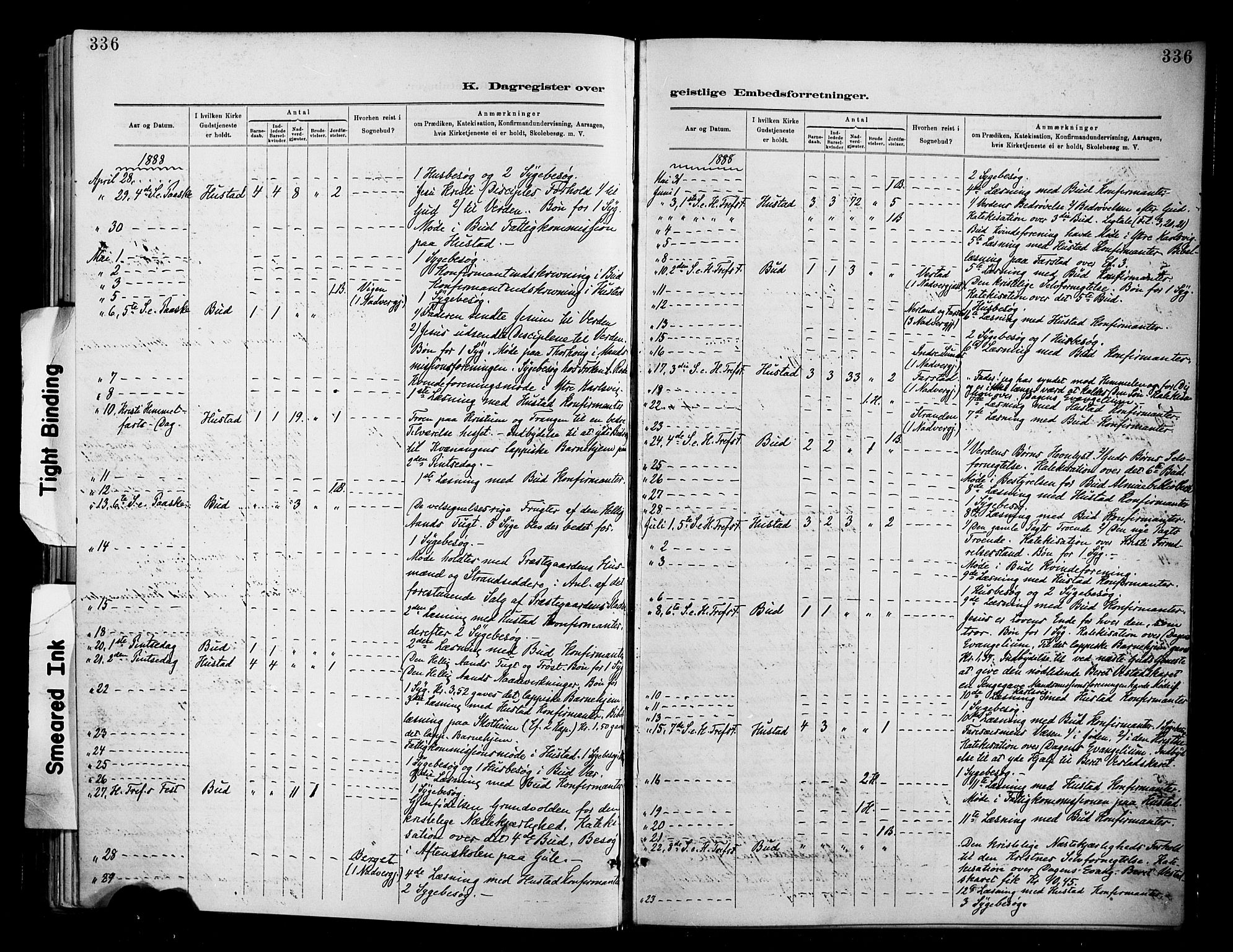 Ministerialprotokoller, klokkerbøker og fødselsregistre - Møre og Romsdal, AV/SAT-A-1454/566/L0769: Parish register (official) no. 566A08, 1881-1903, p. 336