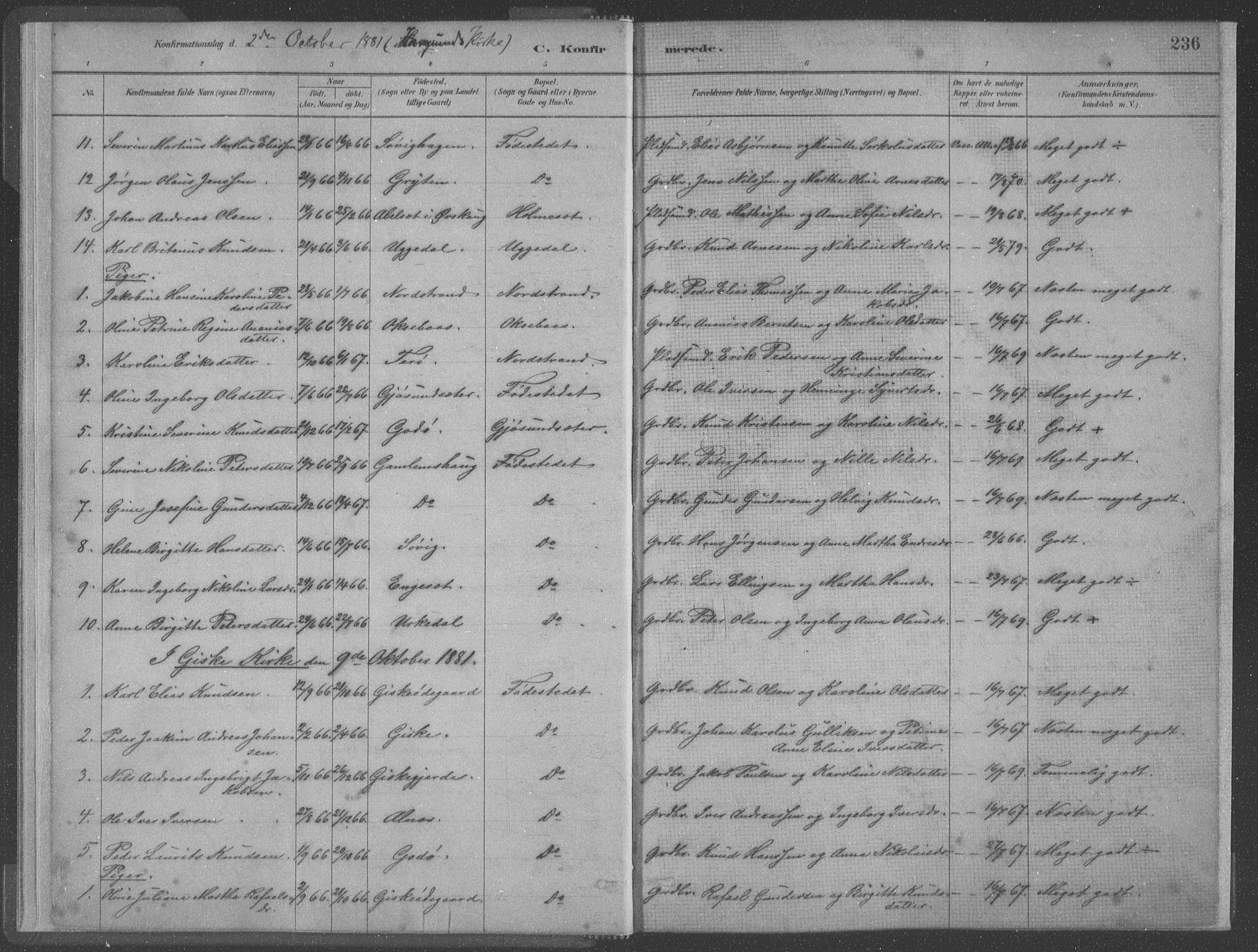 Ministerialprotokoller, klokkerbøker og fødselsregistre - Møre og Romsdal, AV/SAT-A-1454/528/L0402: Parish register (official) no. 528A12II, 1880-1903, p. 236