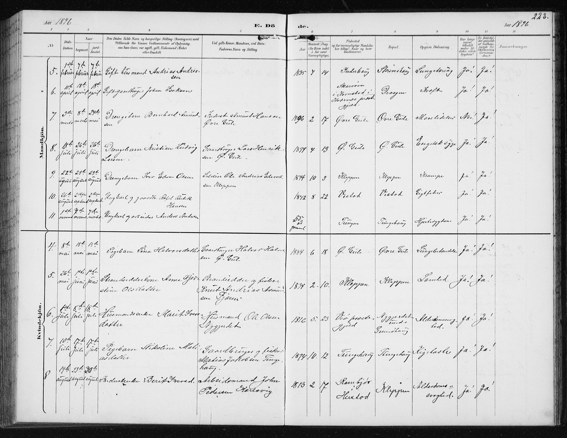 Ministerialprotokoller, klokkerbøker og fødselsregistre - Møre og Romsdal, AV/SAT-A-1454/566/L0773: Parish register (copy) no. 566C02, 1892-1909, p. 223